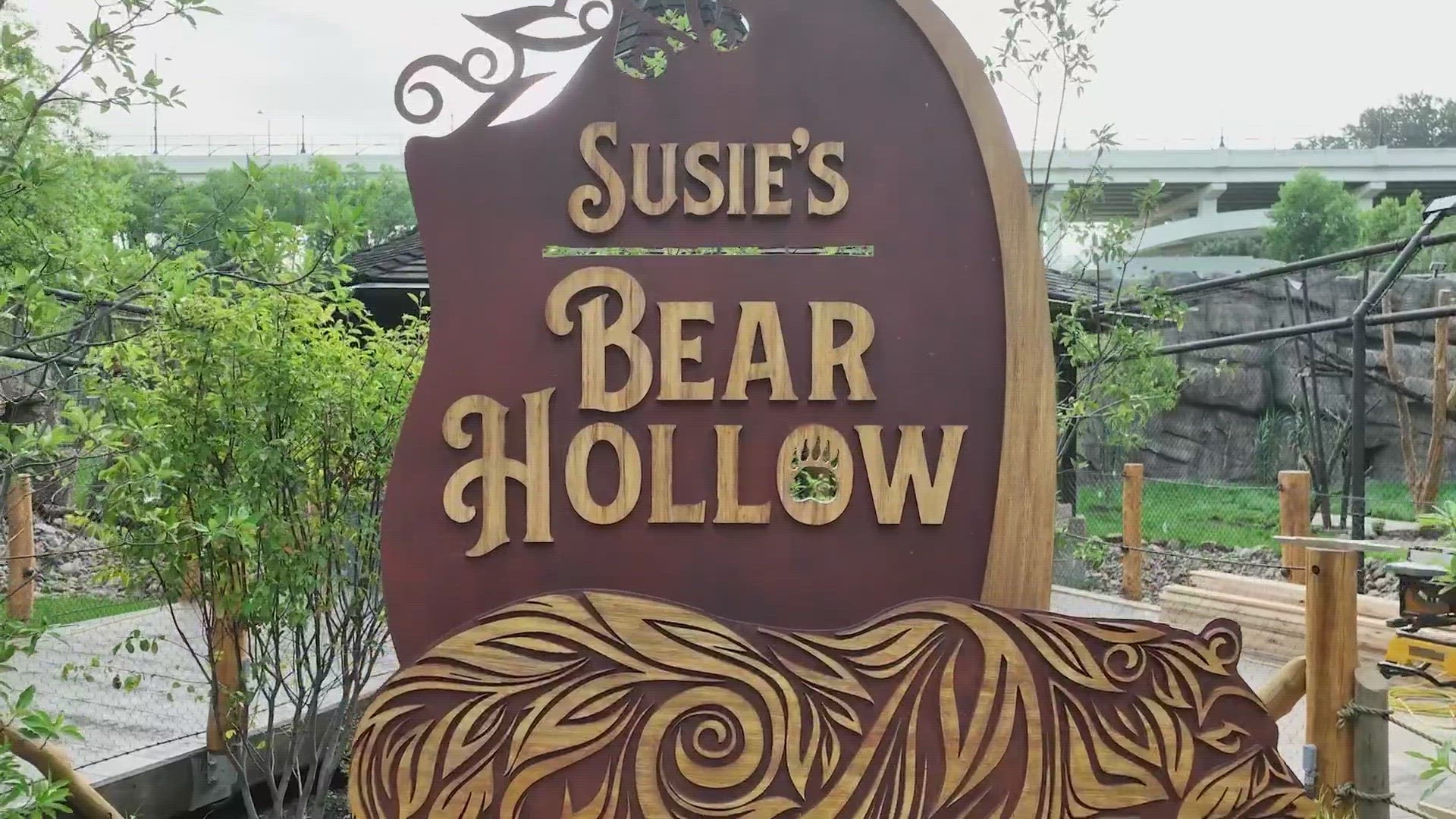 Susie’s Bear Hollow – a new habitat at the Cleveland Metroparks Zoo – made its debut on Friday morning.