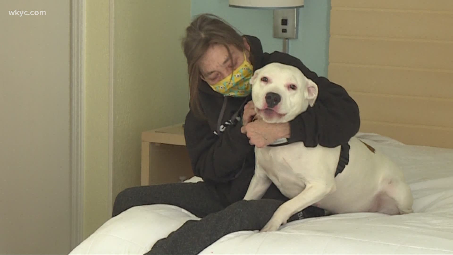 A local woman with a dog had a hard time finding shelter. January Keaton reports.