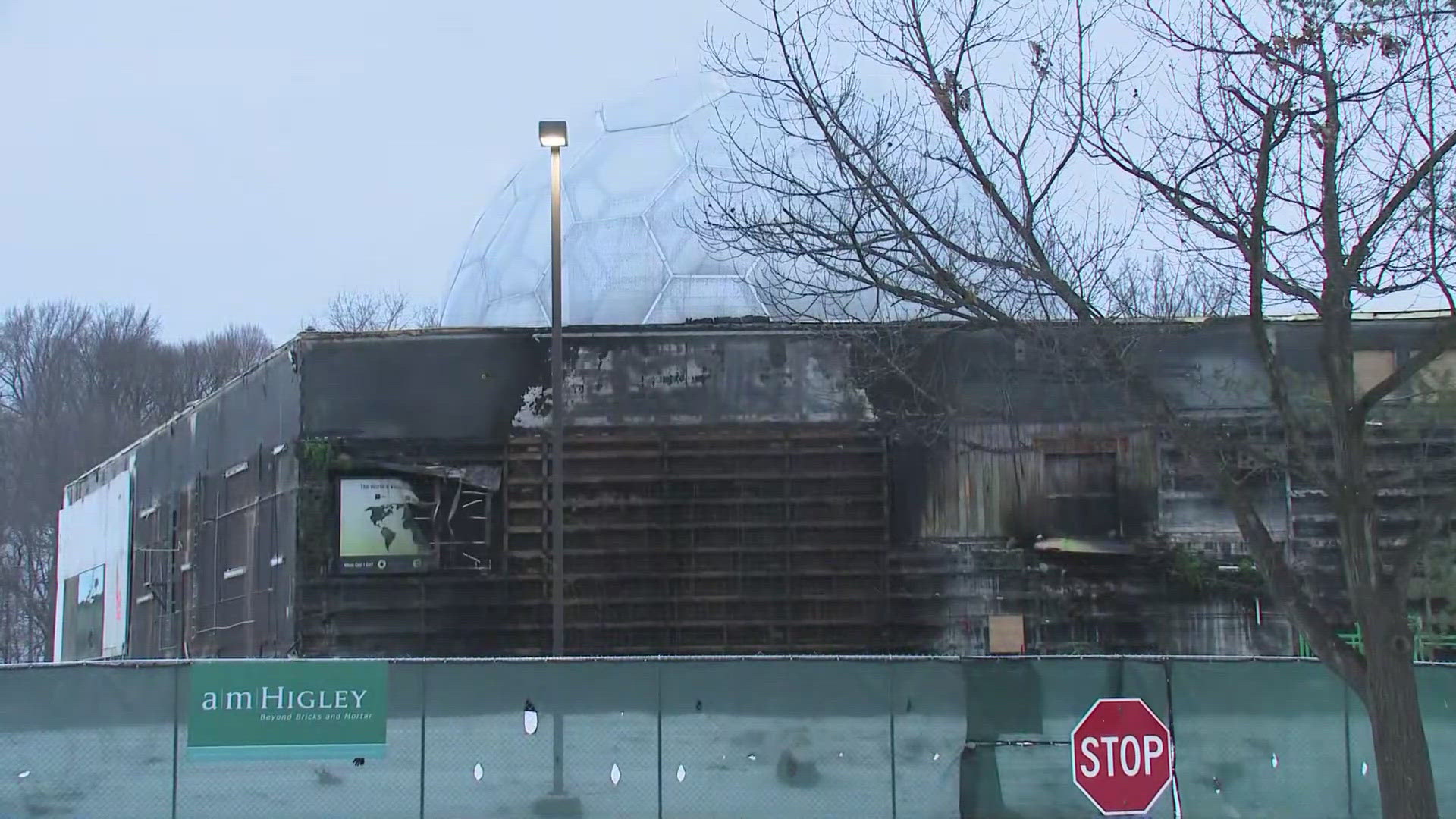 The RainForest exhibit is currently under construction as it will be transformed into the Primate Forest, which is expected to open next year.