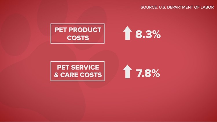 How inflation is taking a bite out of pet industry: Ready Pet GO!