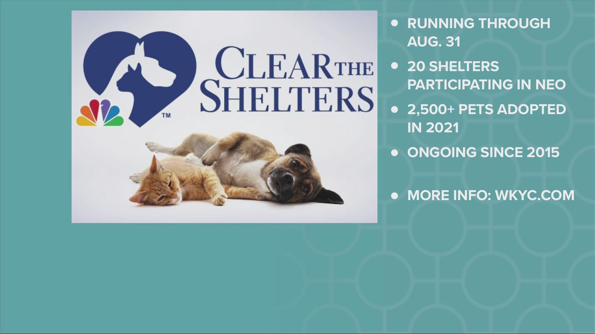 How to adopt a pet in Northeast Ohio during Clear the Shelters? 