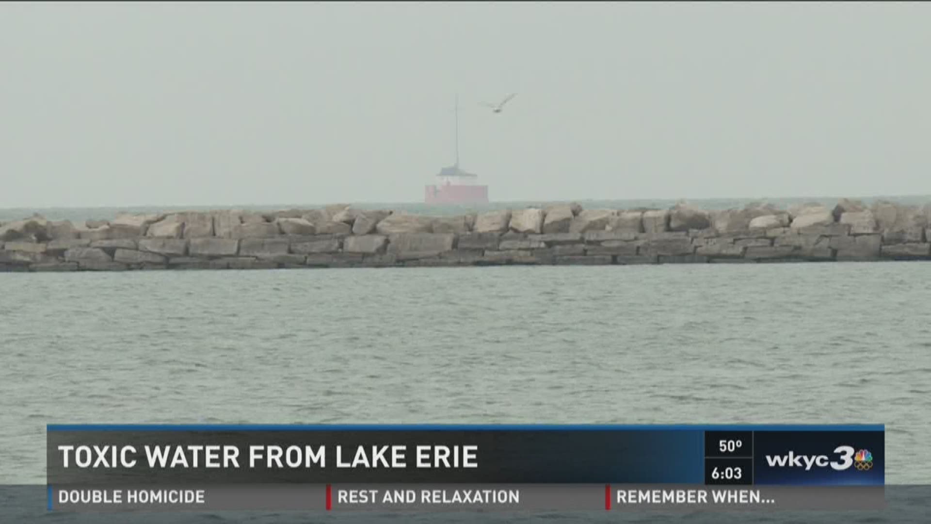 Lake Erie toxic blob