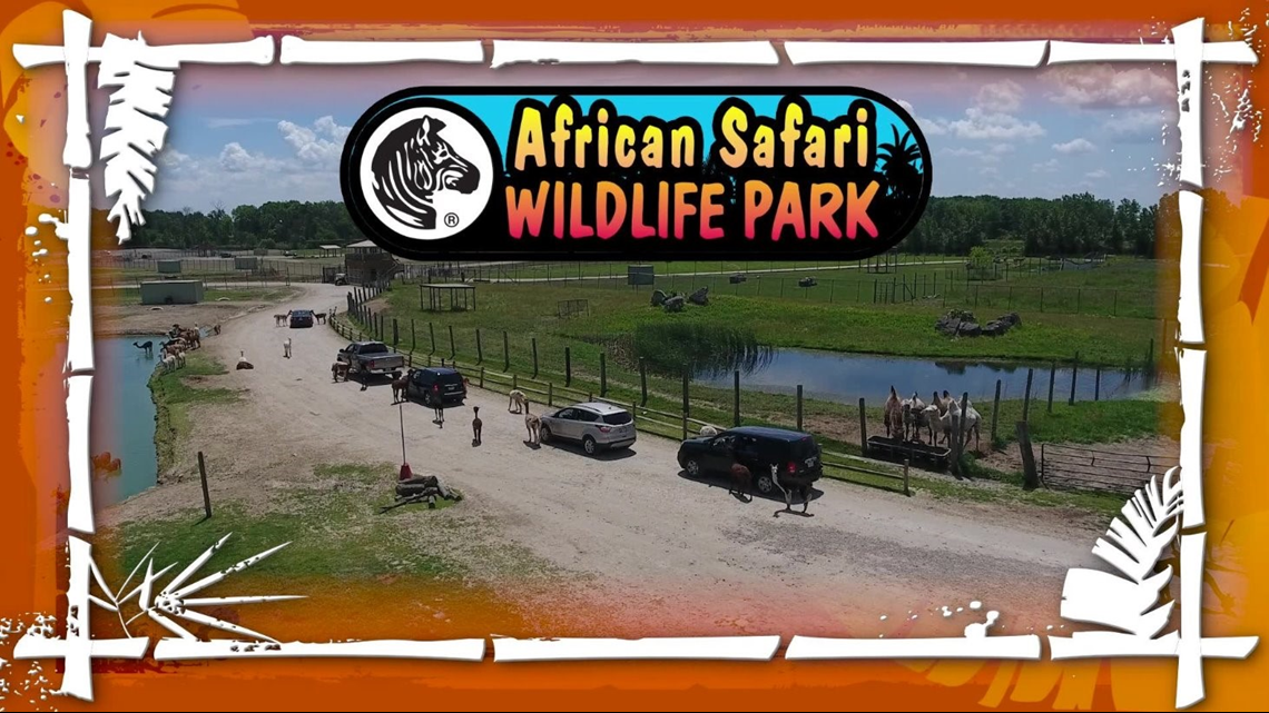 African Safari Wildlife Park In Port Clinton Reveals Loss Of Animals   8fd3a17d 44d0 45d6 A8b3 7550f315cc84 1140x641 