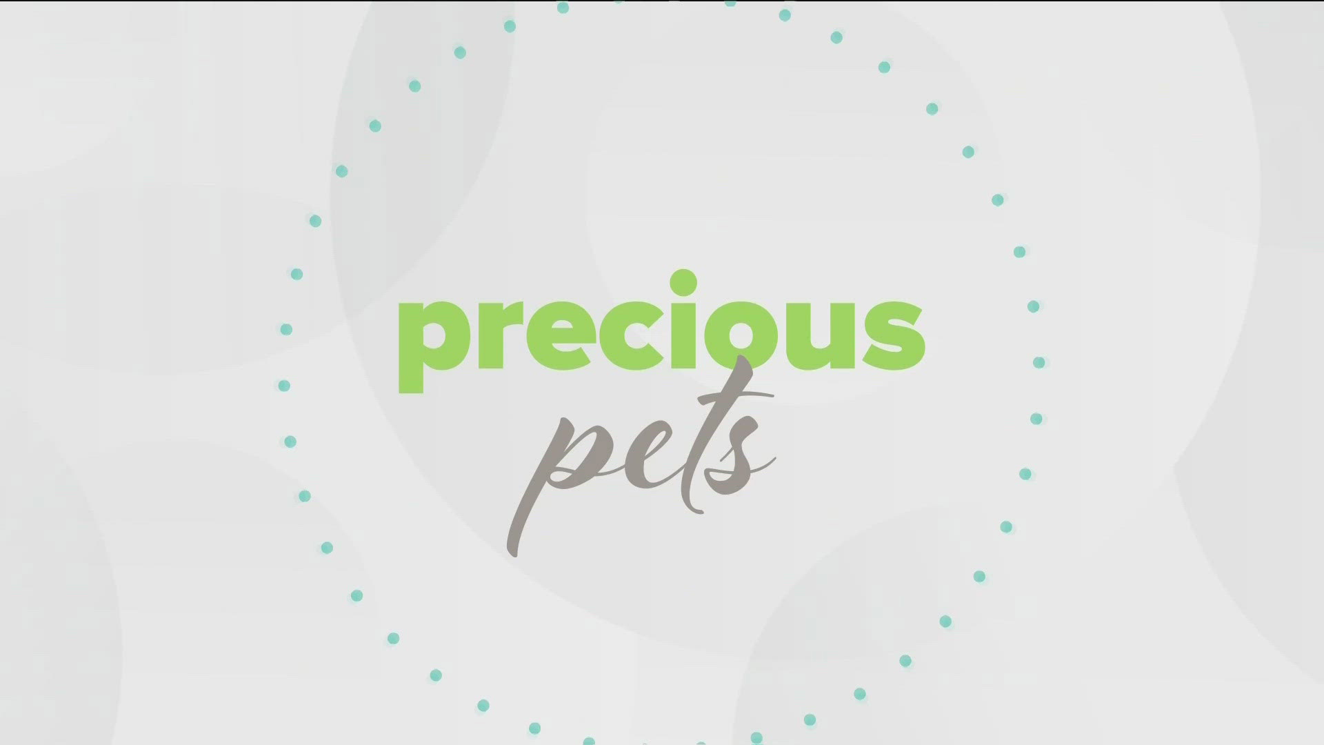 Joe and Katherine talk with Kenneth Clarke about the fun events happening at Woofstock, and the WKYC staff you can find there! Sponsored by: Rescue Village