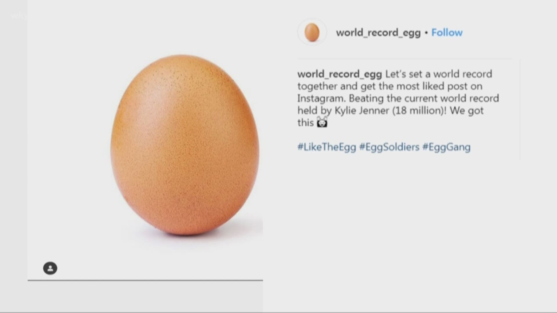 Jan. 14, 2019: Social media is losing its mind over an egg. Yes, an egg.