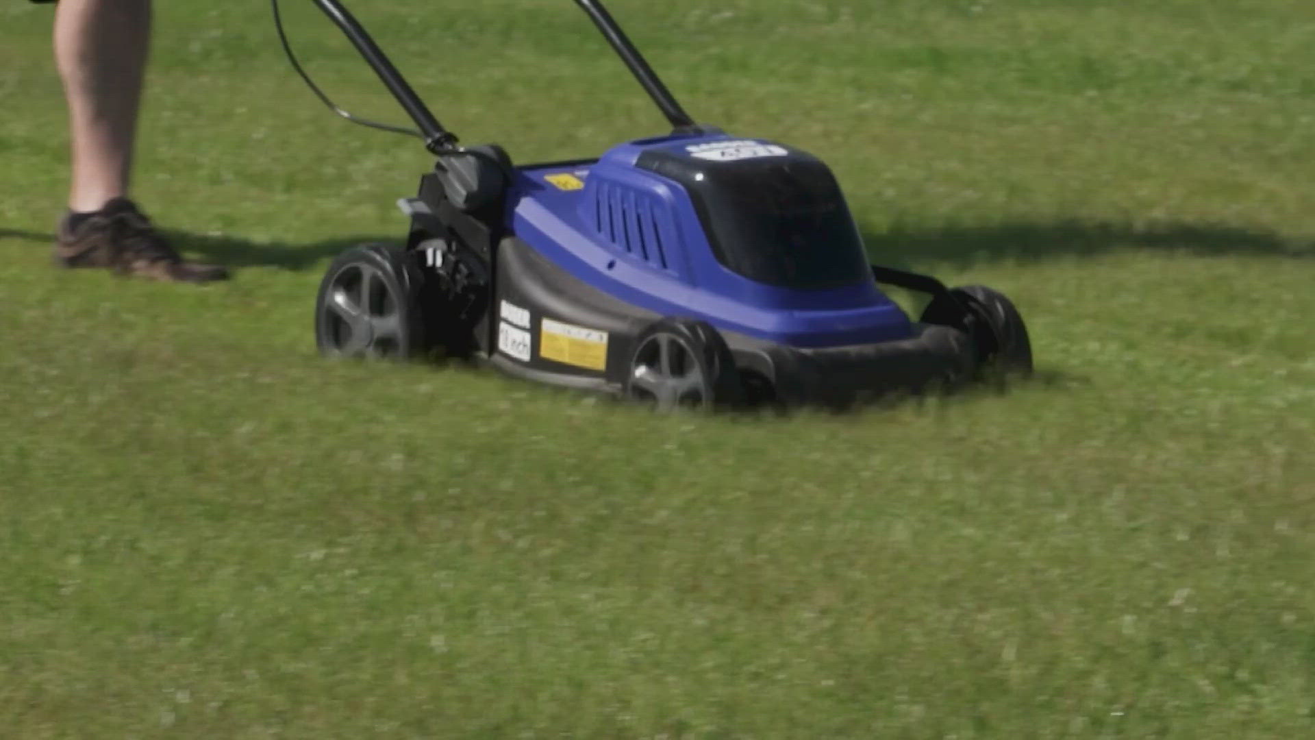 Tips to keep your yard tick-free from Consumer Reports | wkyc.com