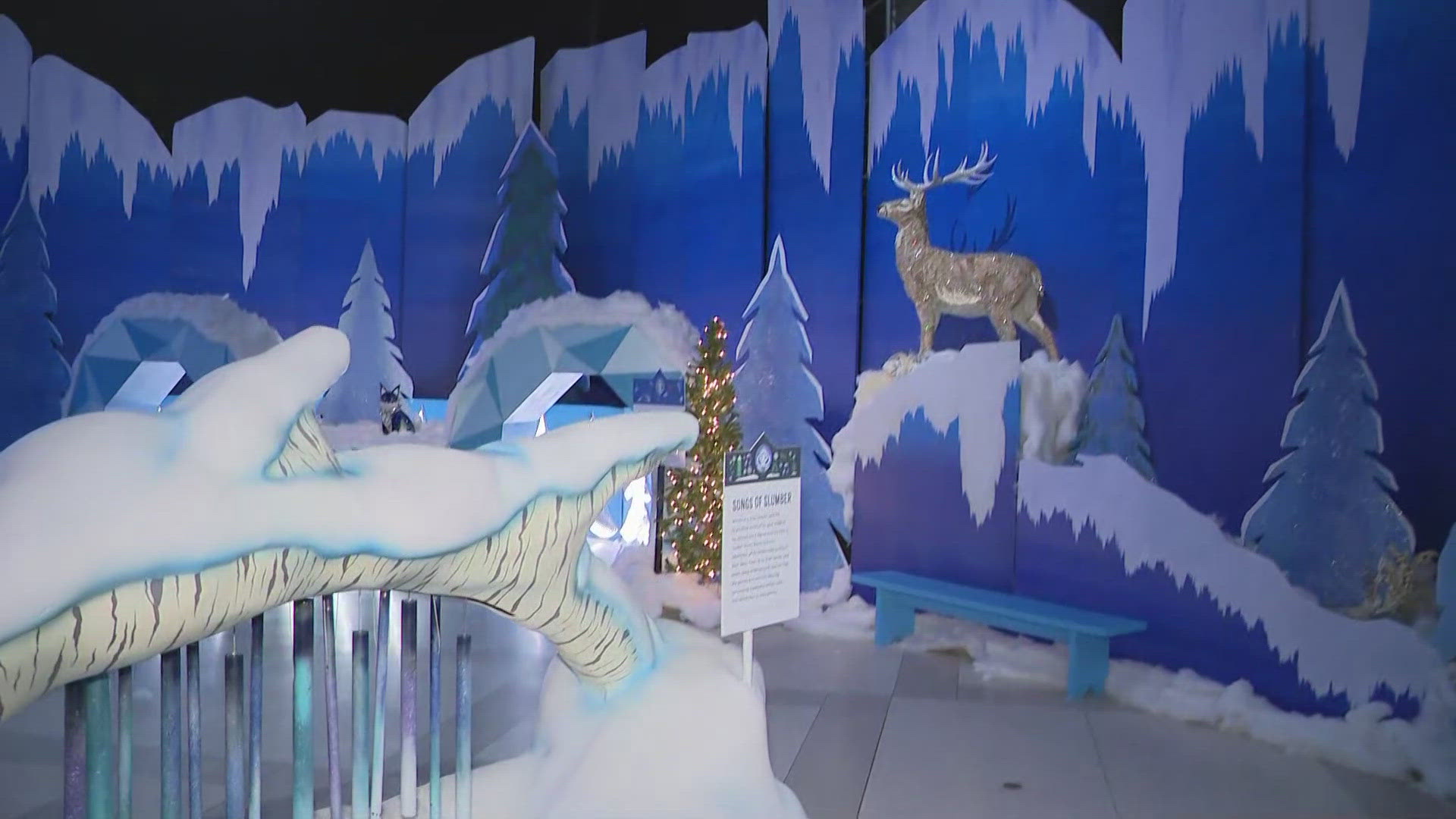 Inside 'Frost' at Cleveland Botanical Garden: Immersed in a winter
