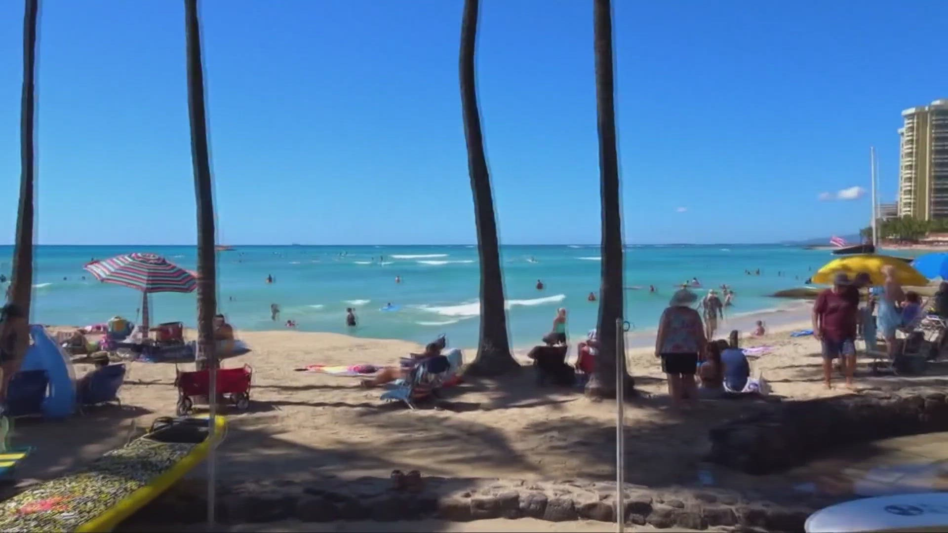 Topless Beach Live Webcam - How to save money on spring break | wkyc.com
