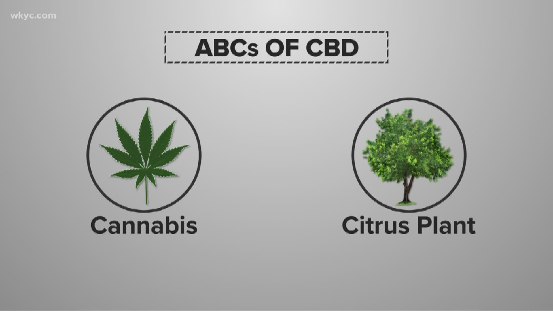 What you need to know about CBD