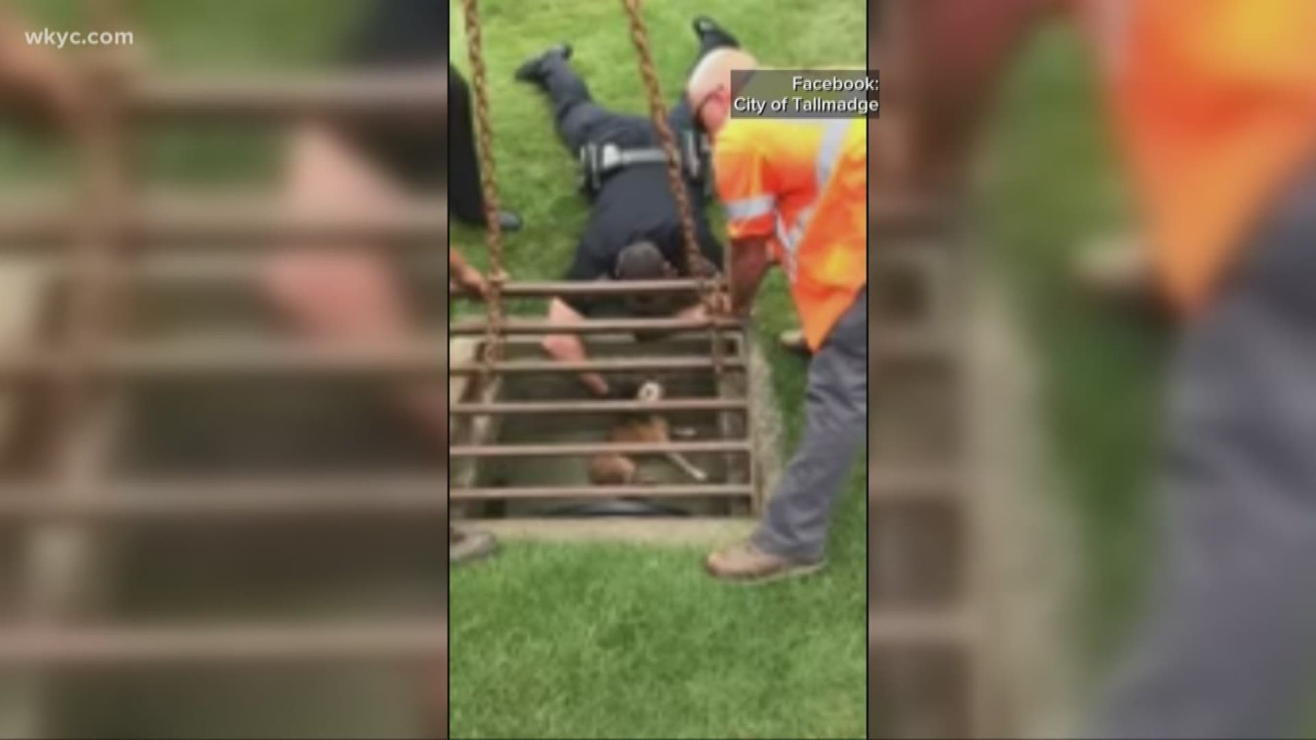 Rescuers used a chain to lift the grate, they gave the pup a few treats before pulling him up to safety. Police say the dog was reunited with his owner.