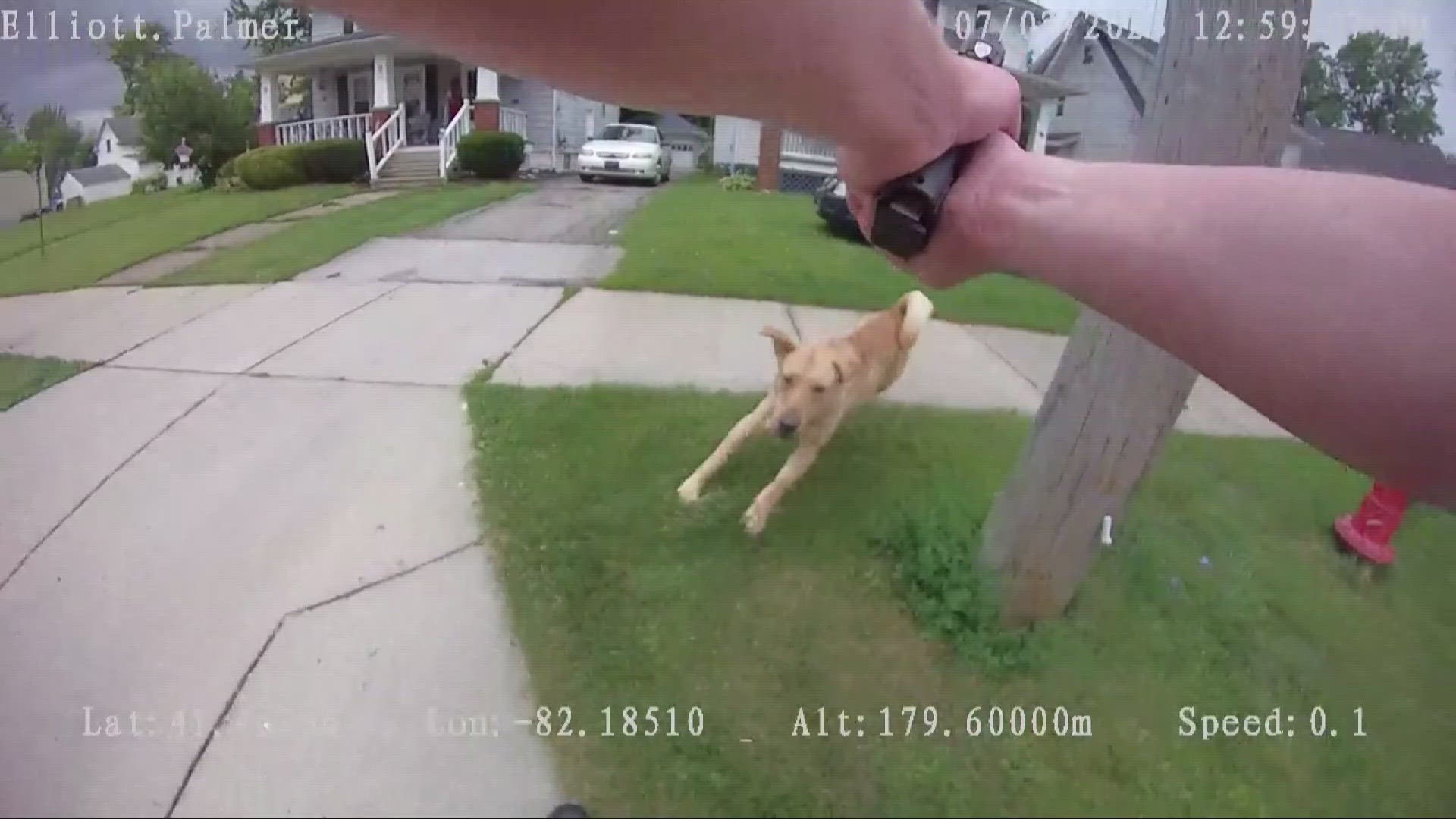 'Officer Palmer had reasonable cause to believe that the dog was going to attack him.'