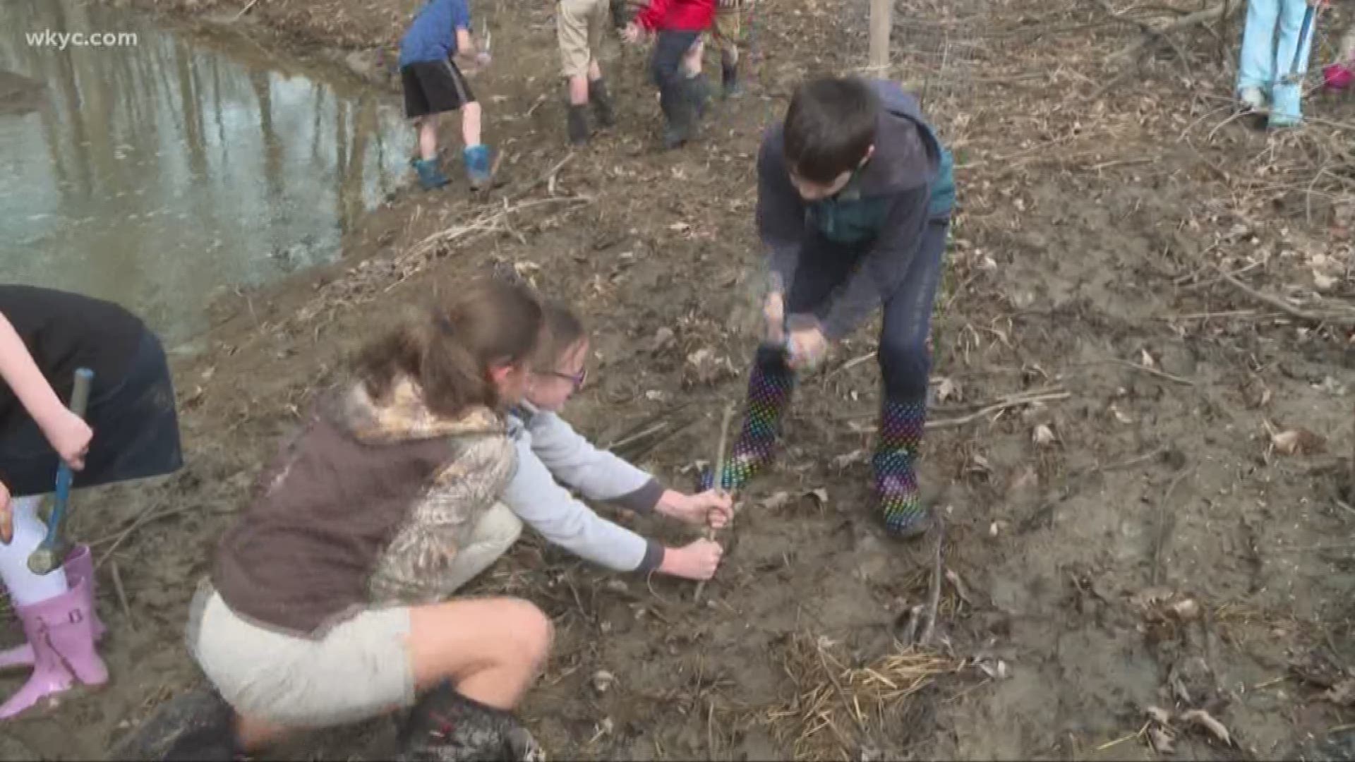 Girls in STEM: Students at Willoughby-Eastlake's School of Innovation help restore part of Euclid Creek