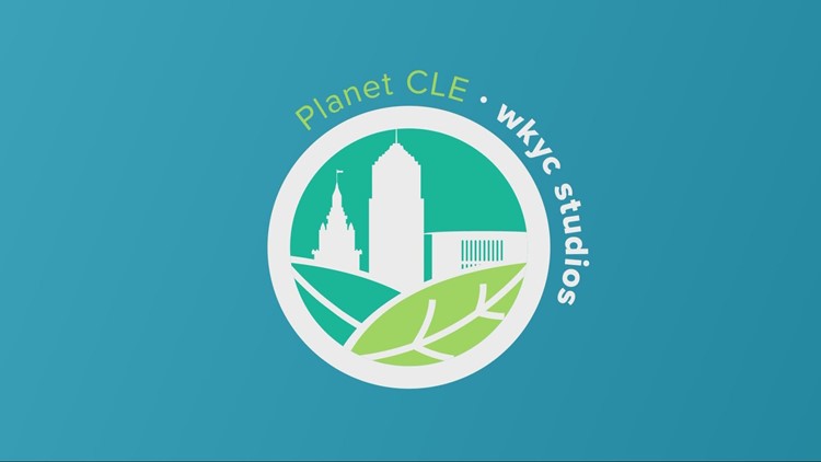 August Planet CLE challenge: Protect the water quality of our Great Lake, rivers and streams