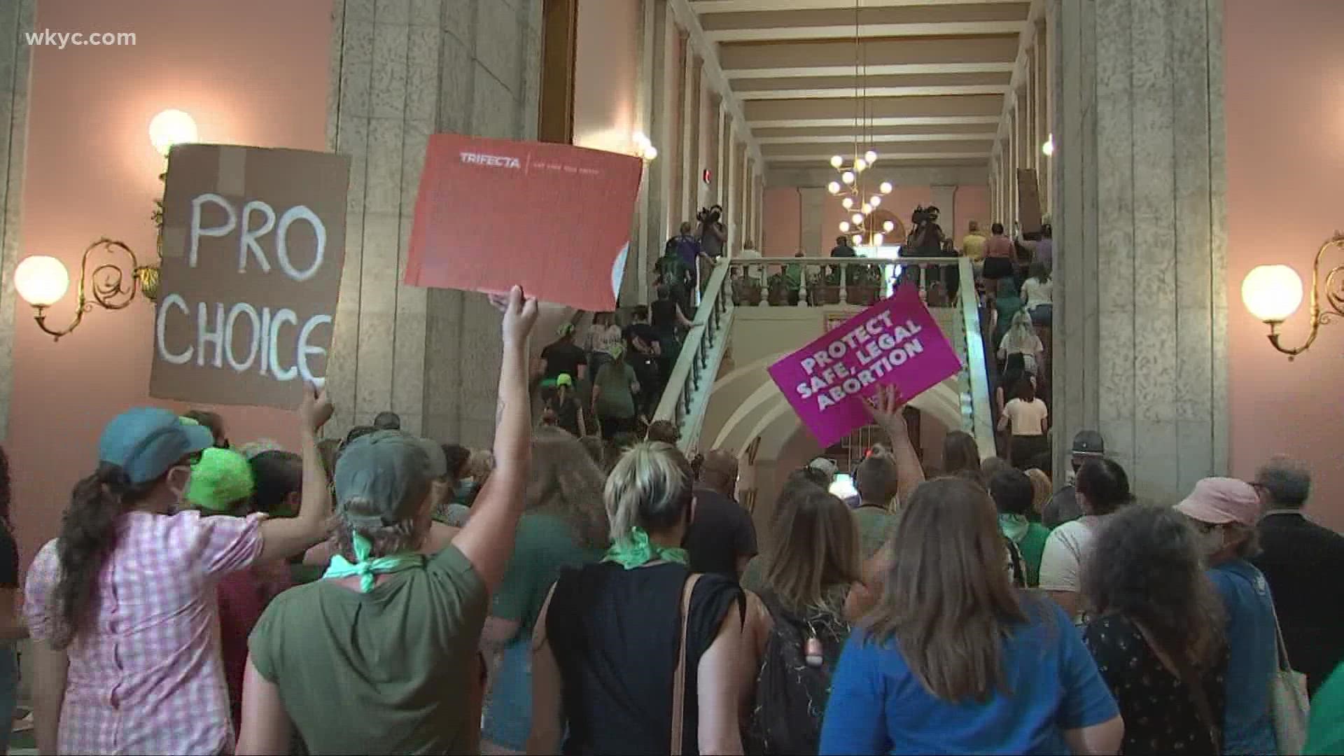 The protesters chanted and carried signs, first outside the Statehouse, then in the Rotunda, then in the Senate.