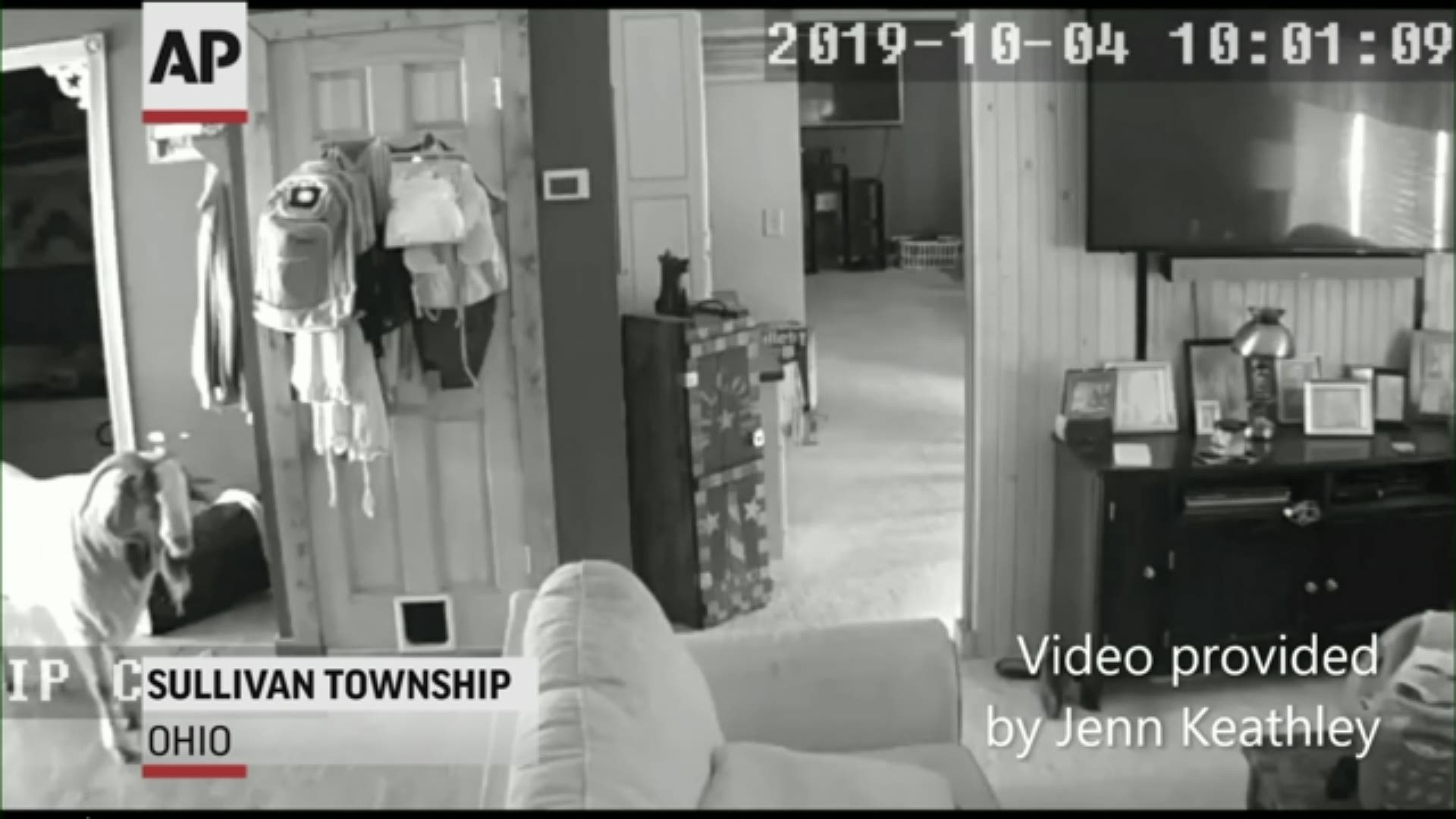 An Ohio homeowner is busy cleaning up after a large goat broke into her home by ramming through a sliding glass door. (Jennifer Keathley via AP)