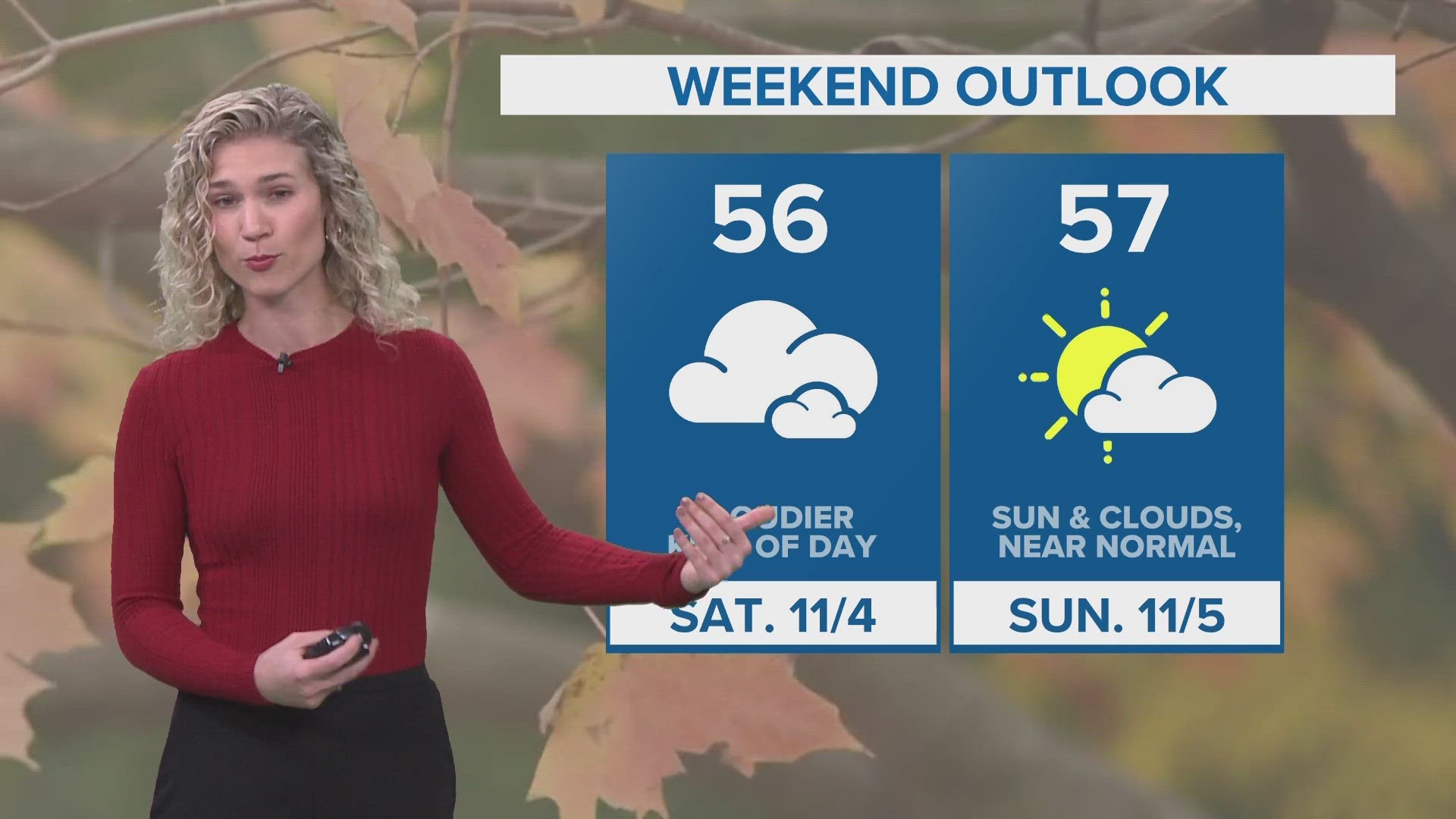 Prince Andrew pays homage to Queen Elizabeth II