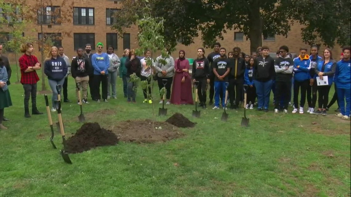 Oak sapling planted in Cleveland to honor Olympian Jesse Owens - Vimarsana News