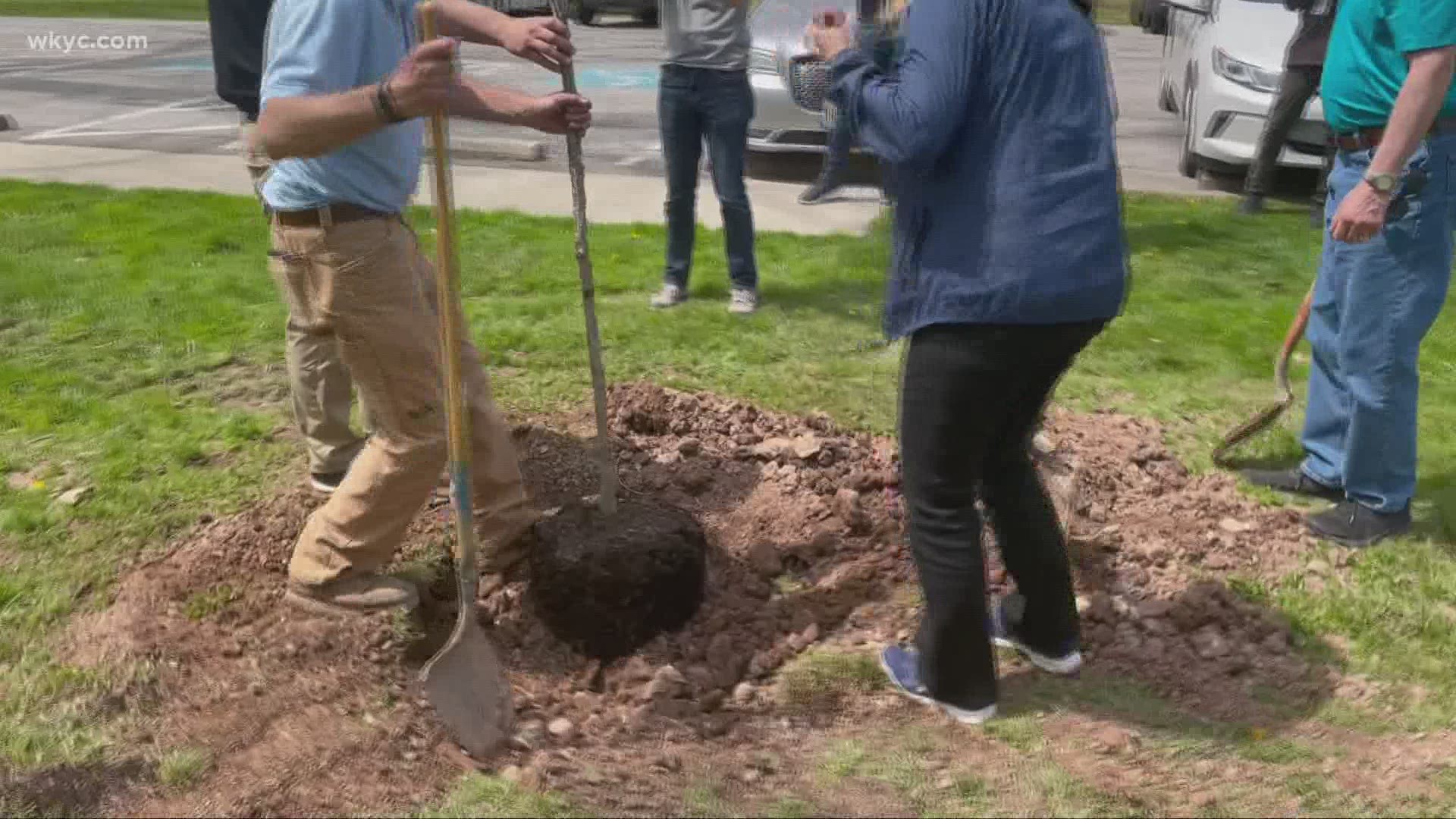 40 trees were planted in the MetrPparks this afternoon. A "sustainable" way for the NFL to say "thanks" to this year's host city.