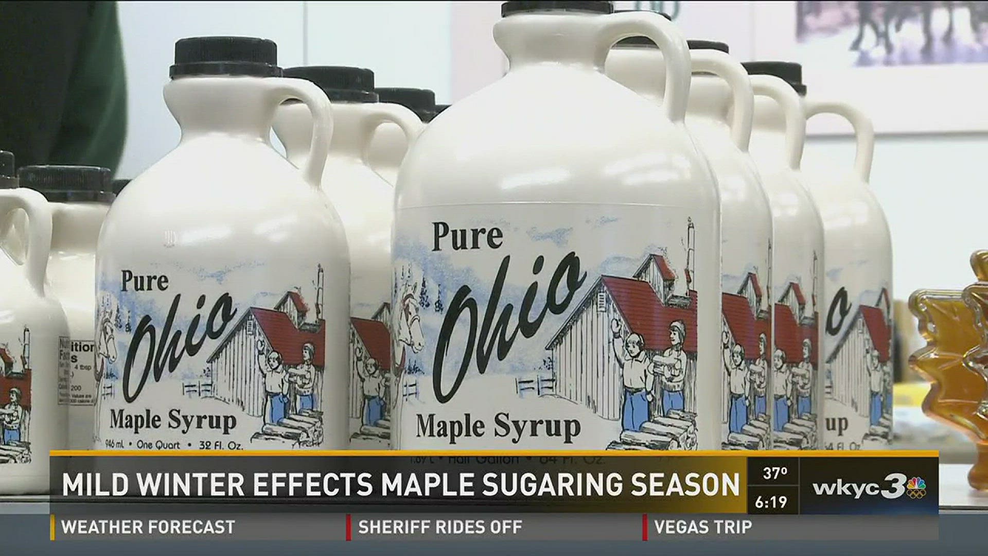 Mild winter effects maple sugaring season