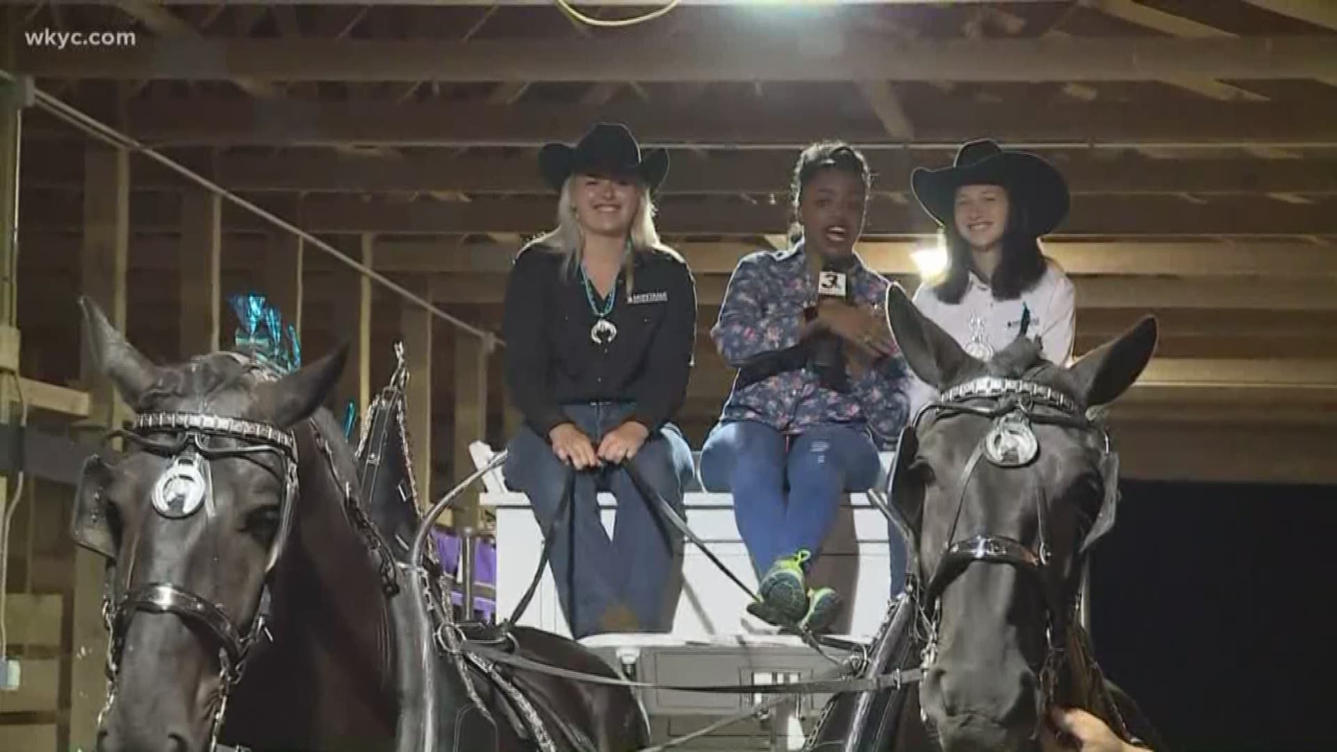 Aug. 30, 2018: It's that time of year again! The Geauga County Fair has arrived, and WKYC's Jasmine Monroe was given a ride on a horse-drawn carriage.