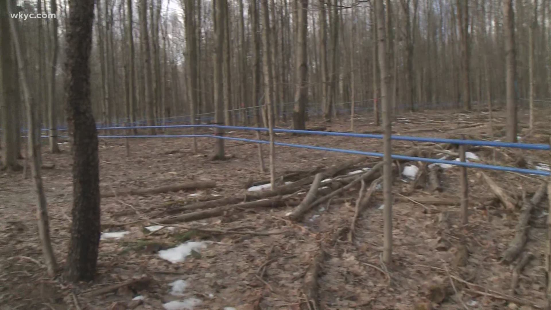 A Look Into The Making of Maple Syrup at Seldom Seen Farm.