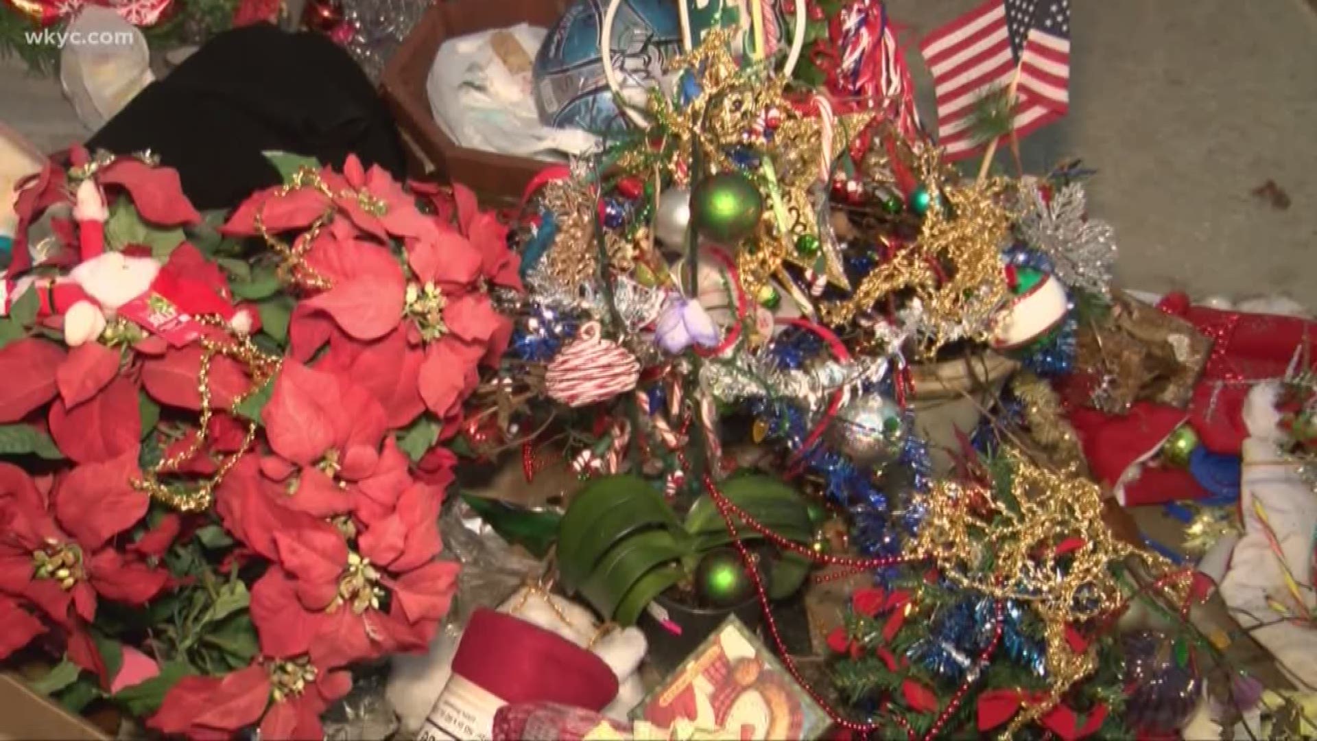 Toledo's Christmas weed is a holiday sensation