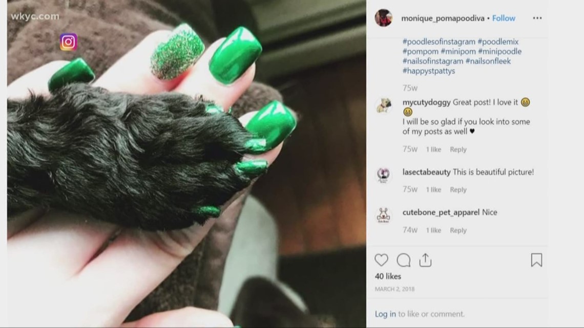 Nail polish for dogs? Would you try it?