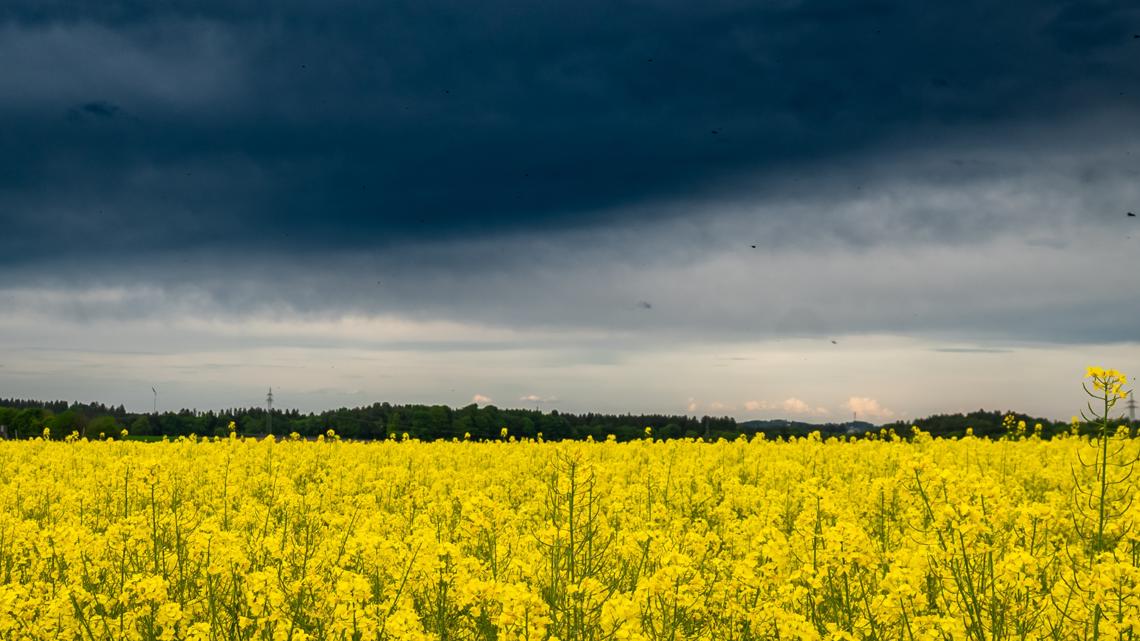 April showers linger into May, helping prevent drought in Ohio