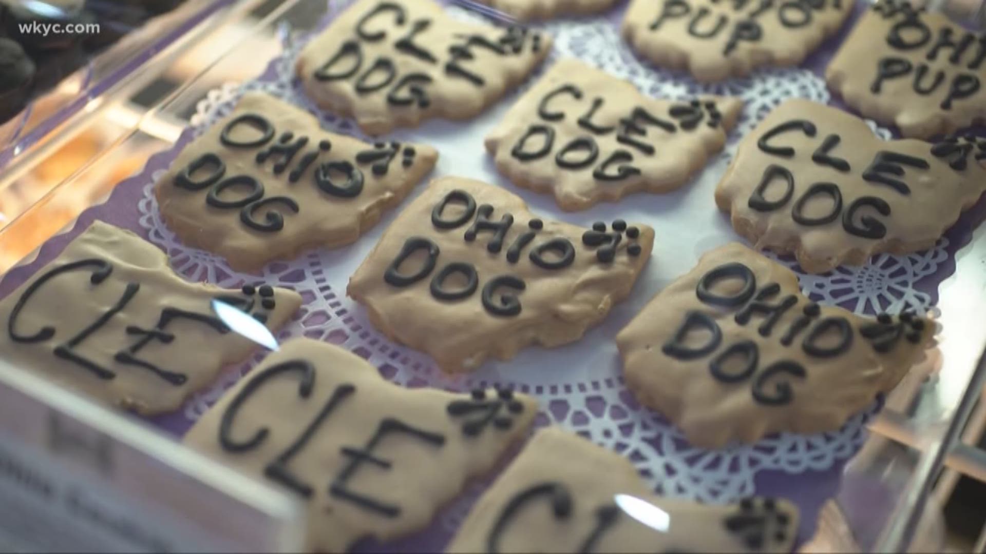 Jan. 11, 2019: If you like to spoil your fur baby, Cleveland's Hingetown neighborhood has a paw-fect new place for you and your pup. Three Dog Bakery is ready to open its doors this weekend and they're celebrating with a grand opening event.