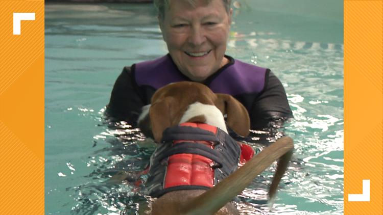 Hydrotherapy offers healing and fun for your best friend: Ready Pet GO!
