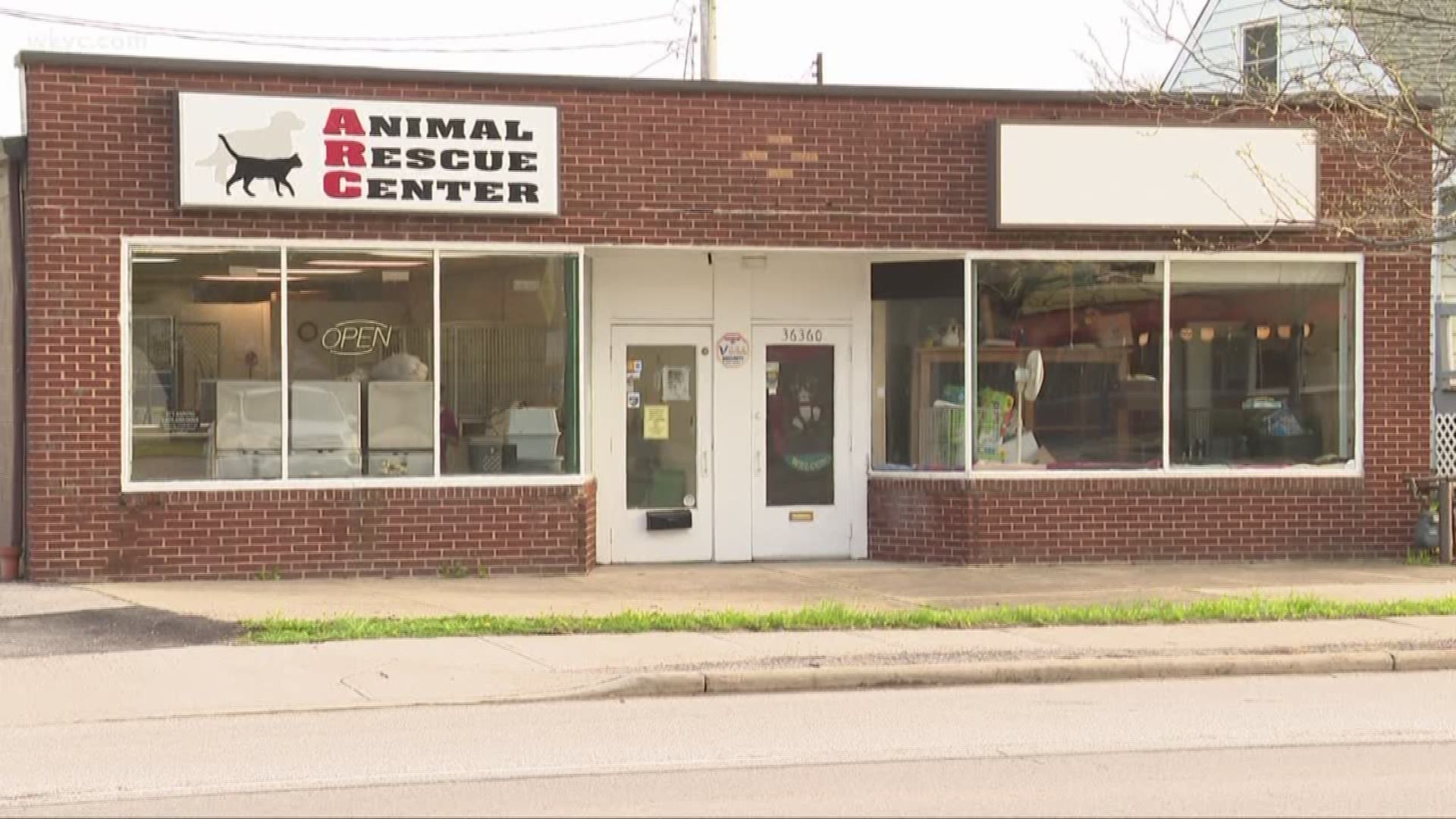 eastlake rescue center