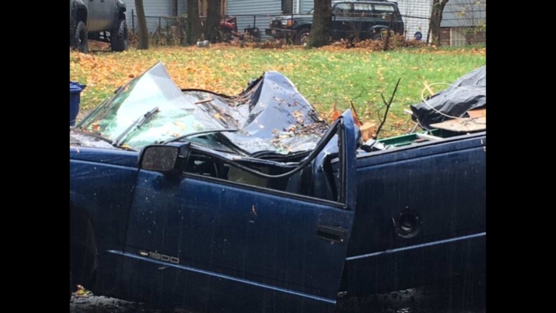Driver rescued in Cleveland Heights after tree falls on truck | wkyc.com