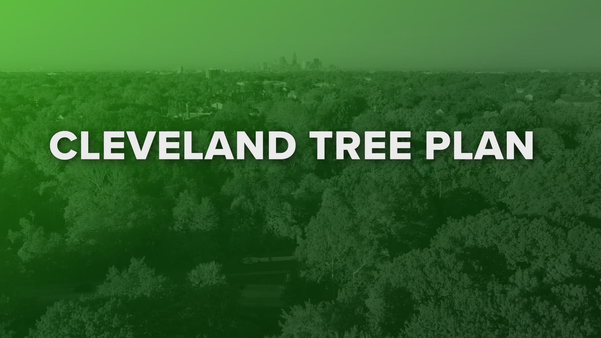 Cleveland’s tree canopy is currently at 18 percent, down from 21 percent in 2000. The goal is to have 30 percent canopy cover in Cleveland by 2040.