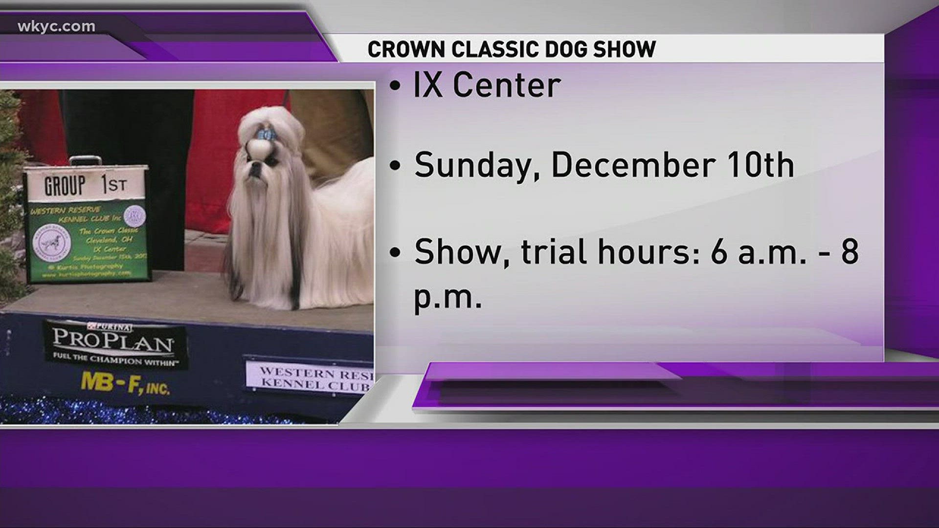 Crown Classic Dog Shows come to IX Center