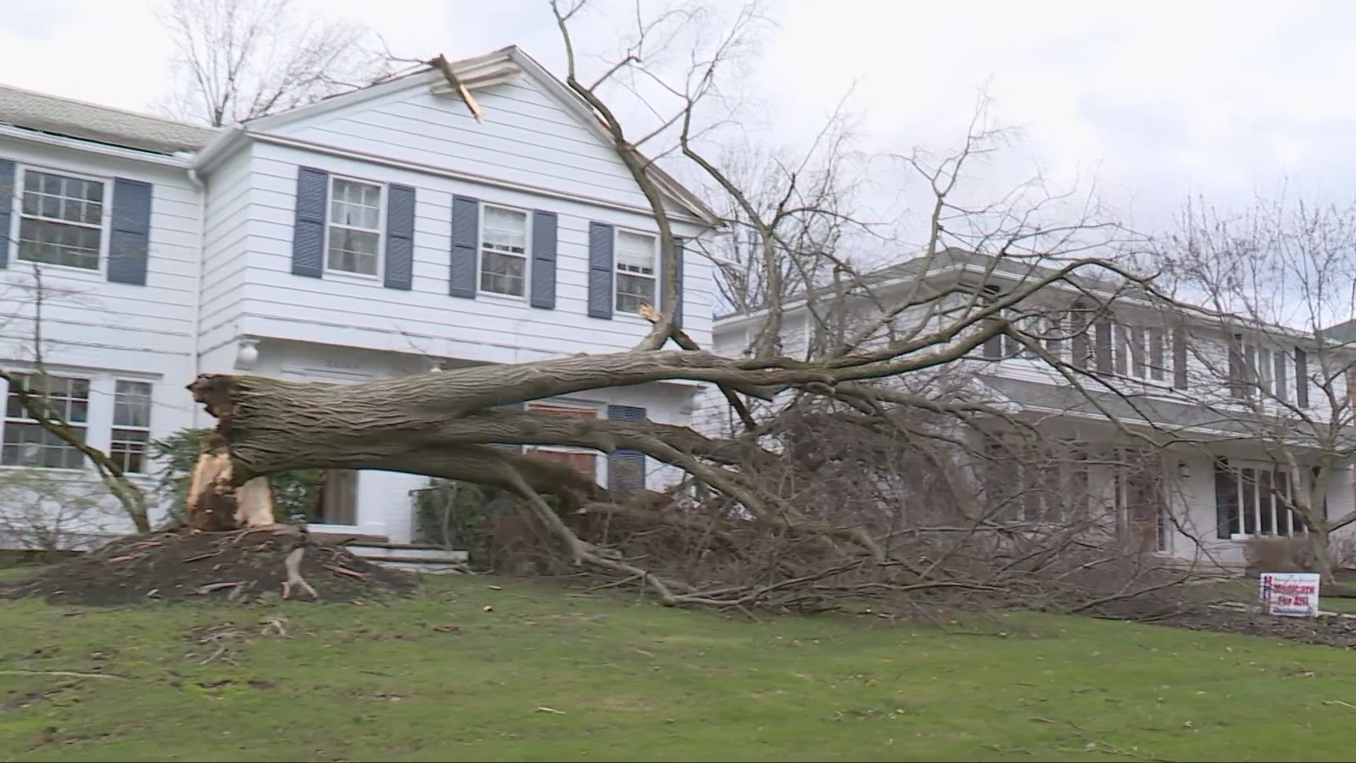 Northeast Ohioans throughout the region reported downed trees, power outages and damage due to high speed wind gusts that rivaled the output of small tornadoes.