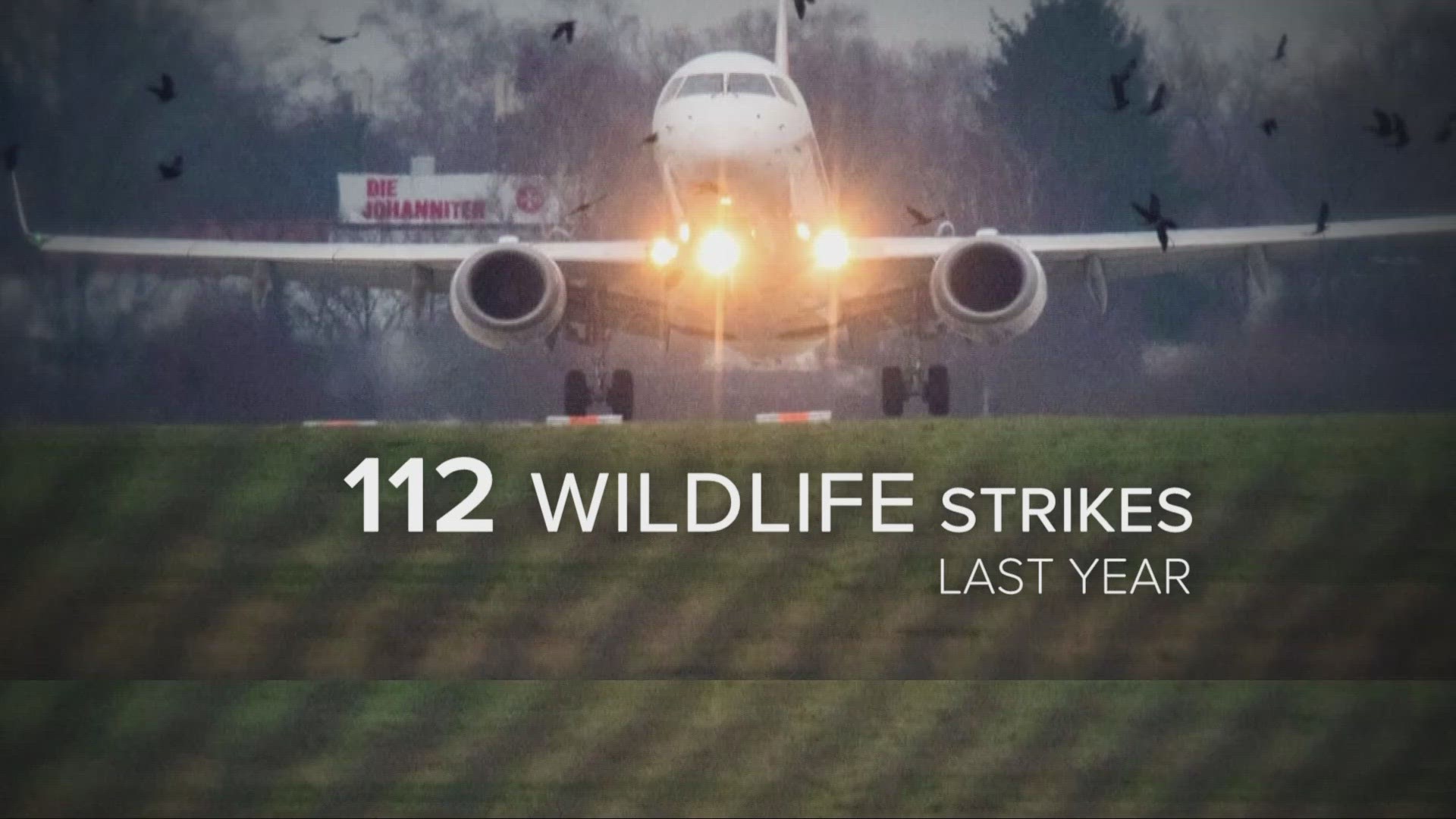 Bird strikes are an everyday threat for planes, but losing an engine is rare. It happened just last weekend in Columbus.