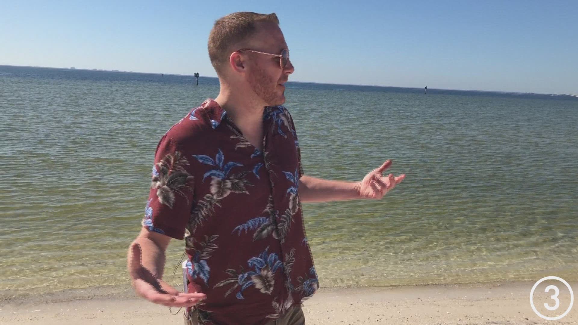 Mike Polk Jr. found a beach during his one-day trip to Florida. He says the beach has a very Tampa-esque feel.