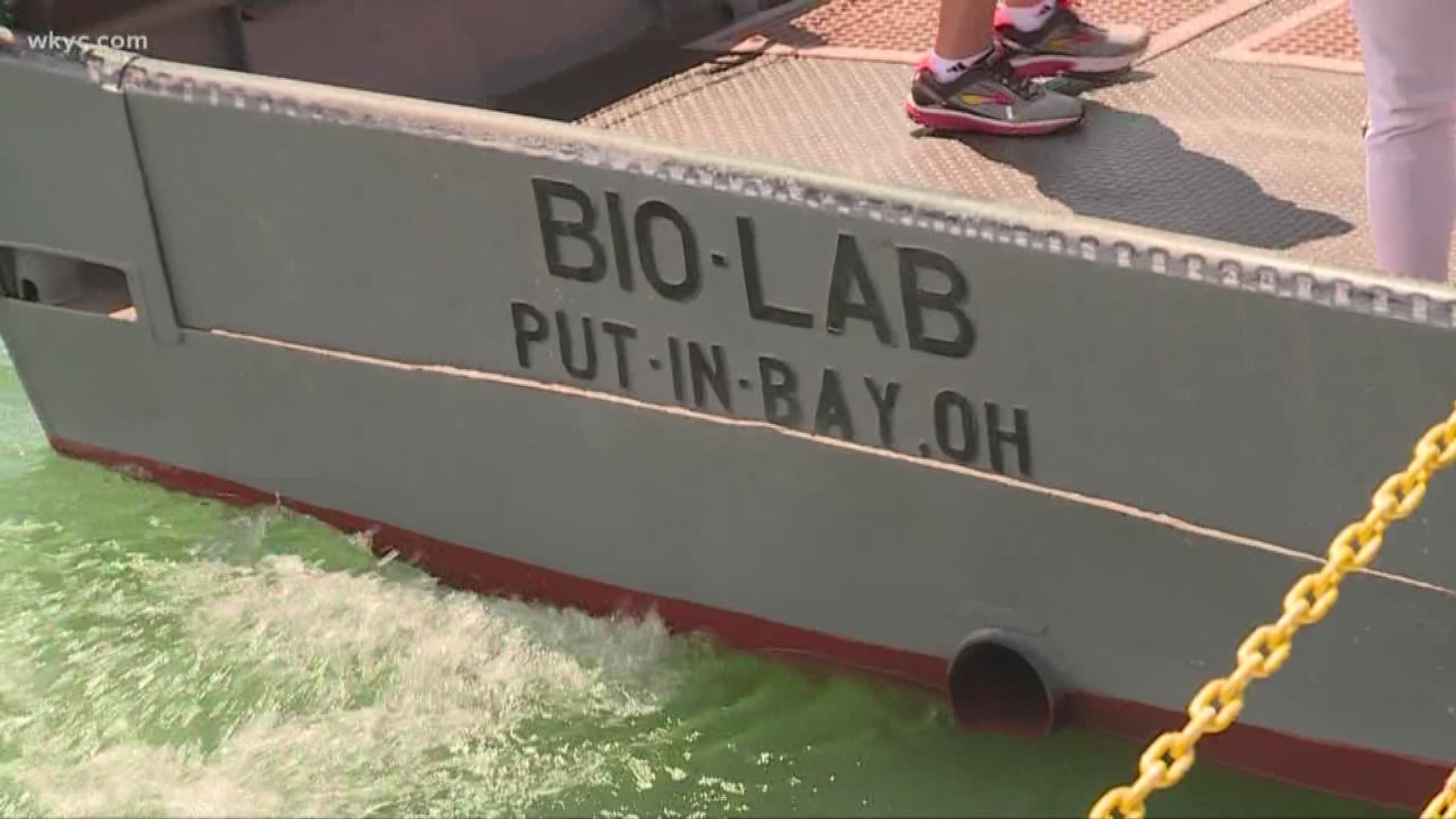 What's going on with the algae in Lake Erie?