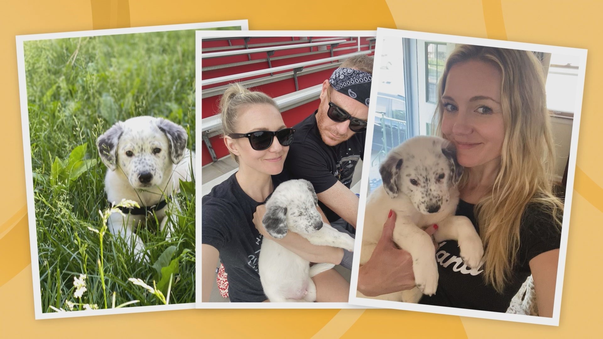 Helpful dog training tips from doggy boot camp Ready Pet GO!