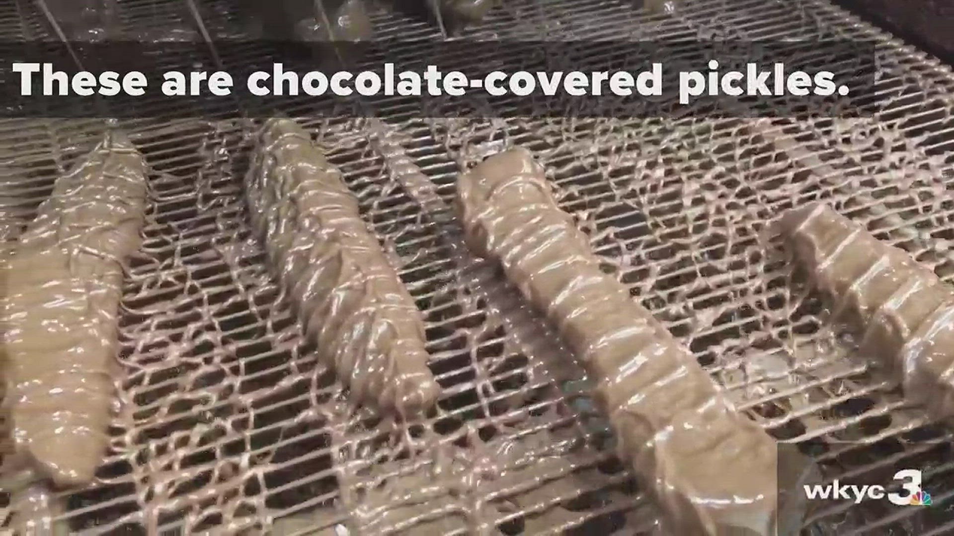 Yes, chocolatecovered pickles are a thing, thanks to Malley's and