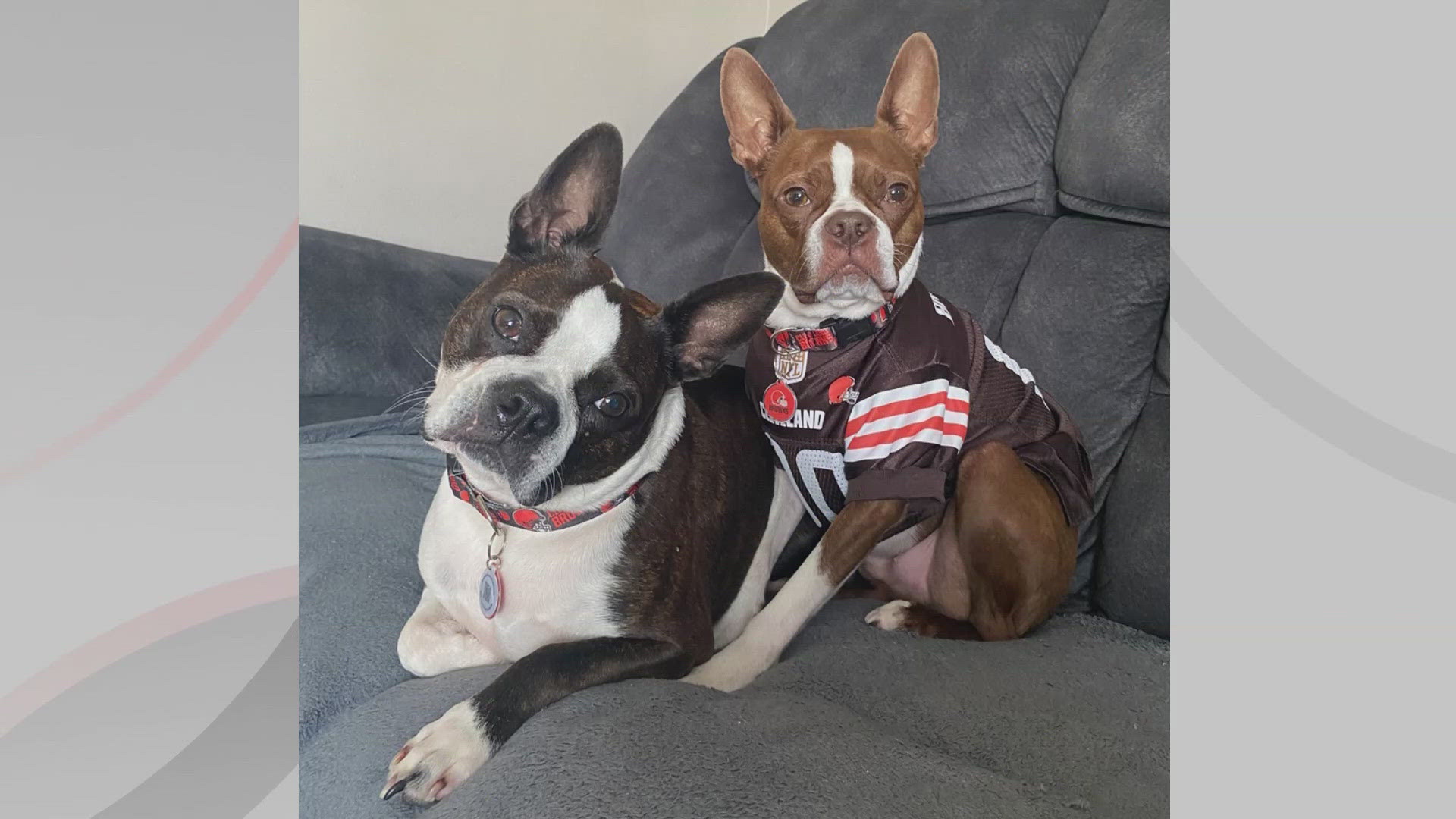 We're introducing you to Frank and Fat Tony for this edition of Doggone Weather on Friday, Oct. 4, 2024. They are both proud members of the Browns Barkers Fan Club.