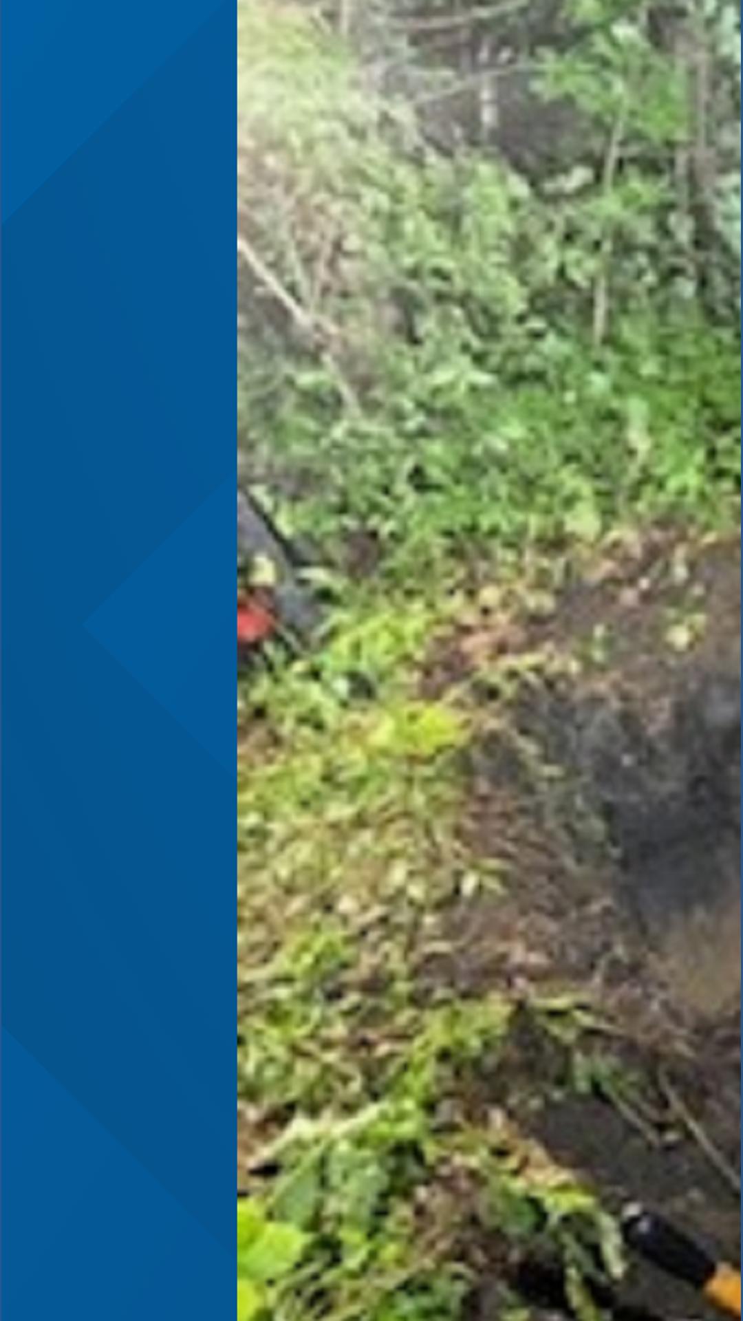 Summit County emergency crews rescue man trapped underground in Clinton ...
