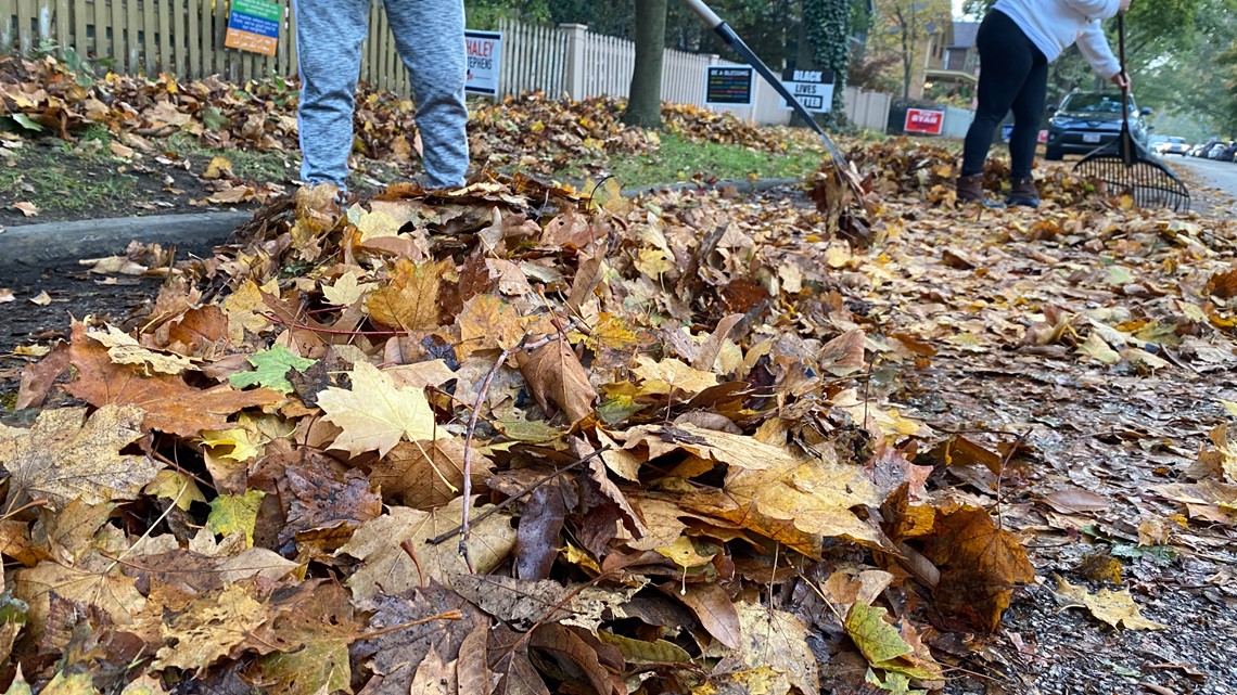 When is Cleveland doing leaf pickup for residents?