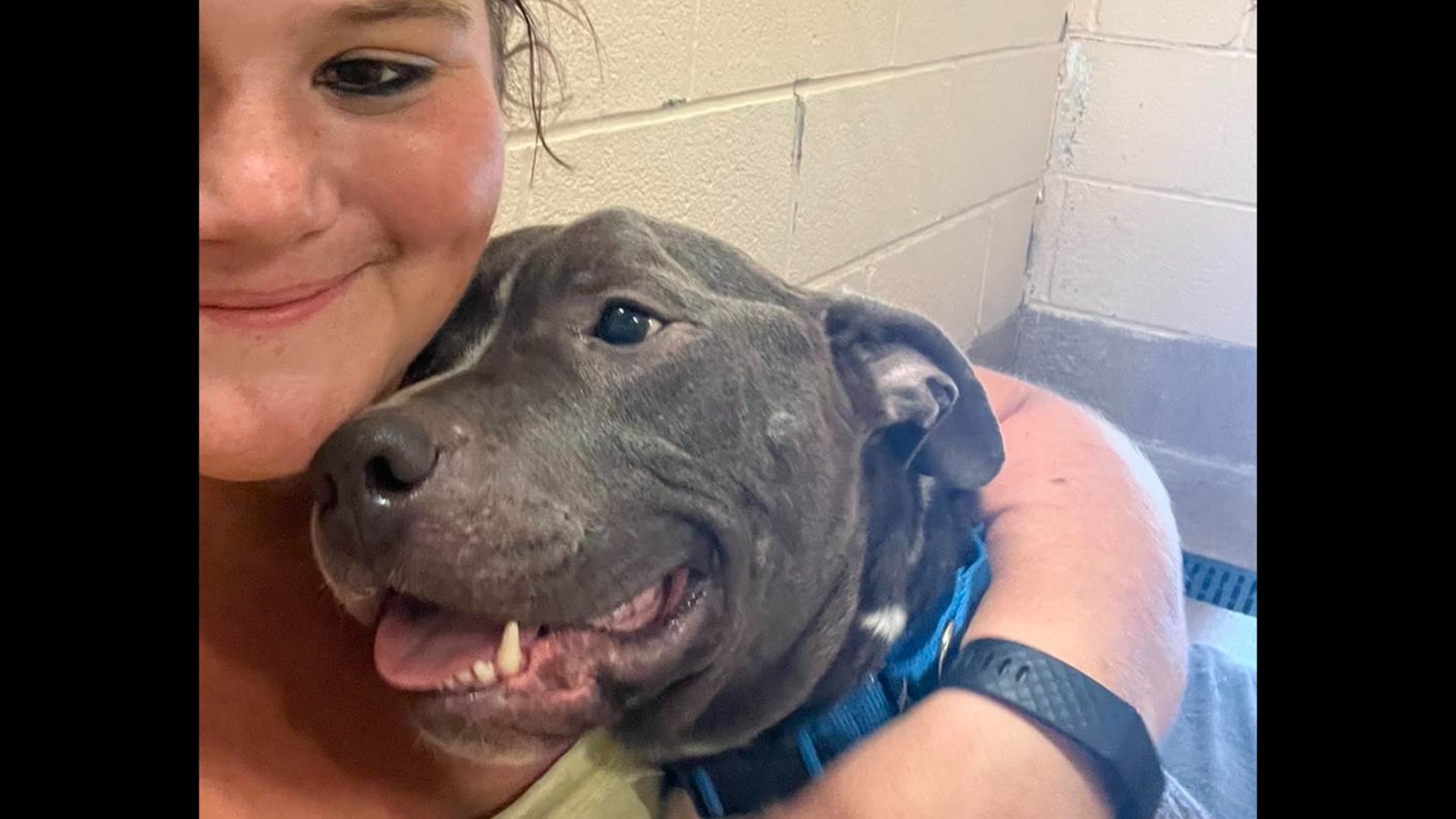 Abandoned dog finds forever home after 587 days in a shelter | wkyc.com