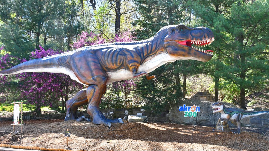 Akron Zoo announces return of DinoTrek for 2026: When you can experience the animatronic dinosaurs