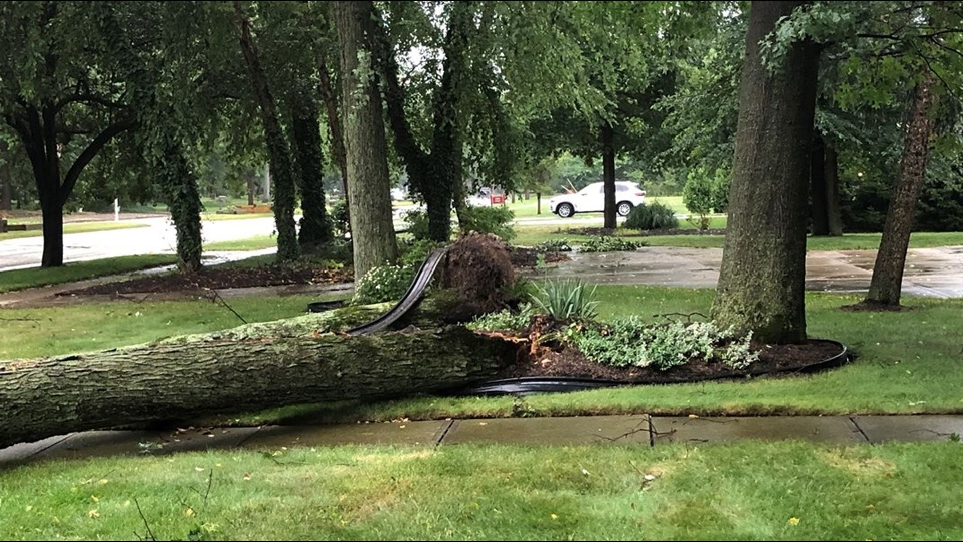 Storms cause power outages and damage in Northeast Ohio | wkyc.com