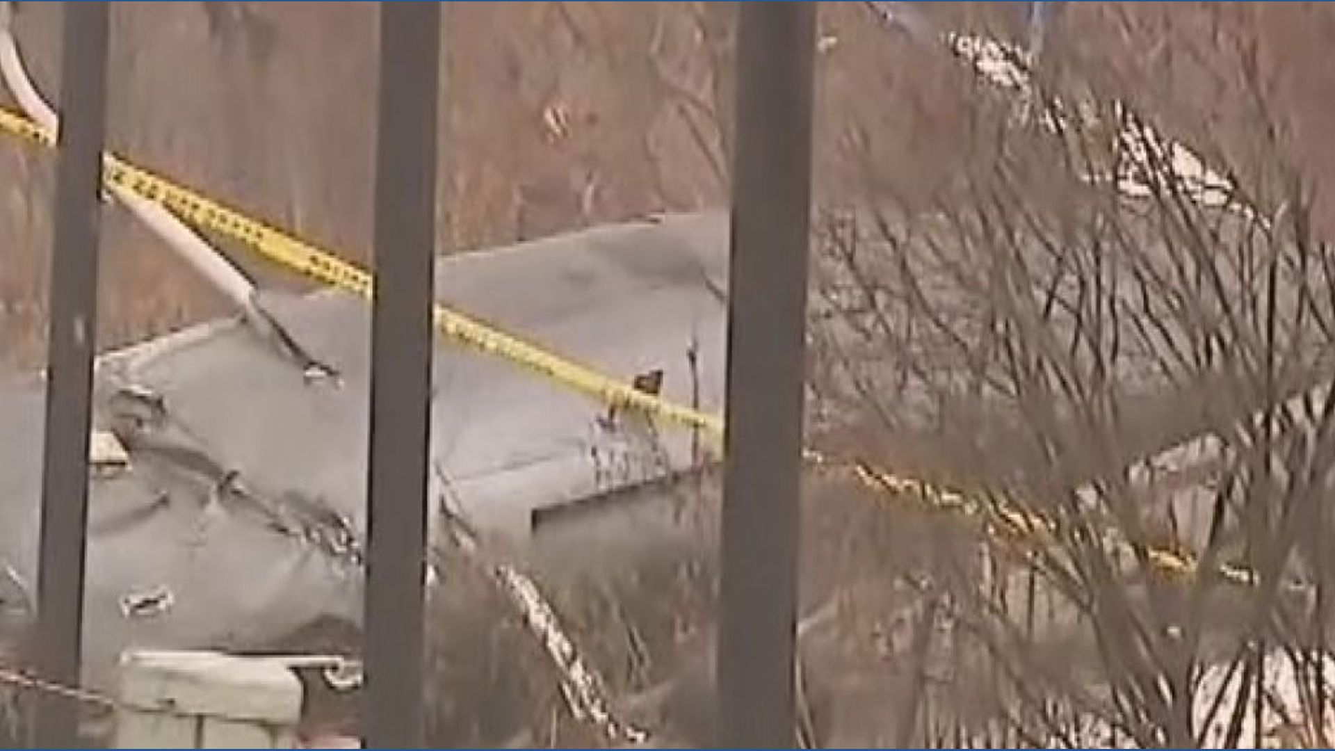 Pilot killed after plane crashes near homes in Illinois | wkyc.com
