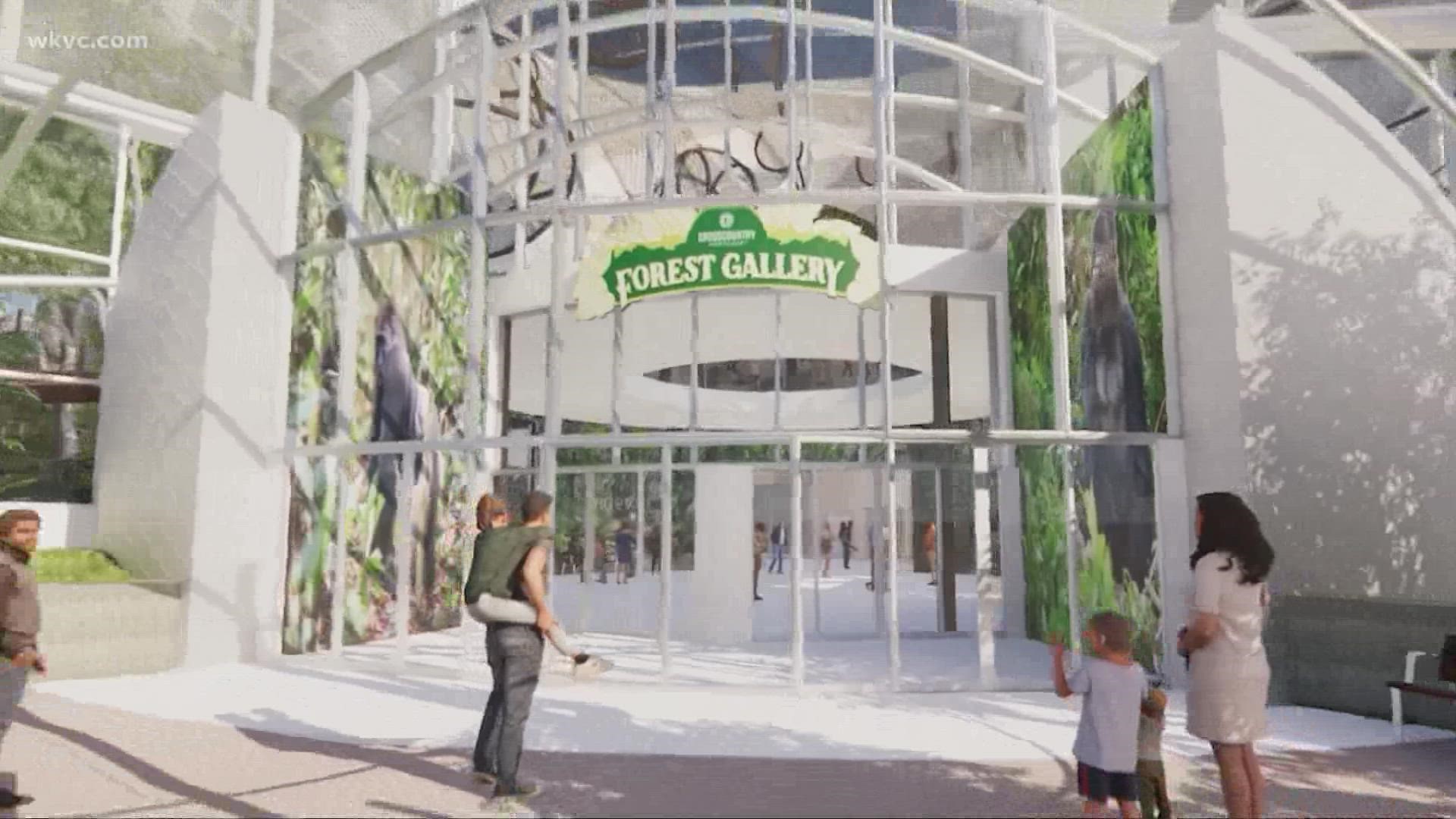 Amani Abraham brings us more on on the upcoming new home for the park's gorillas and orangutans
