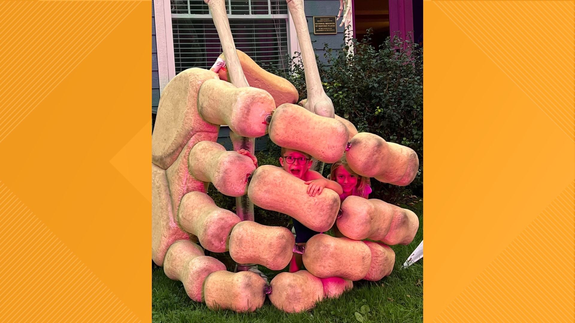 Olmsted Falls Halloween diplay River Road