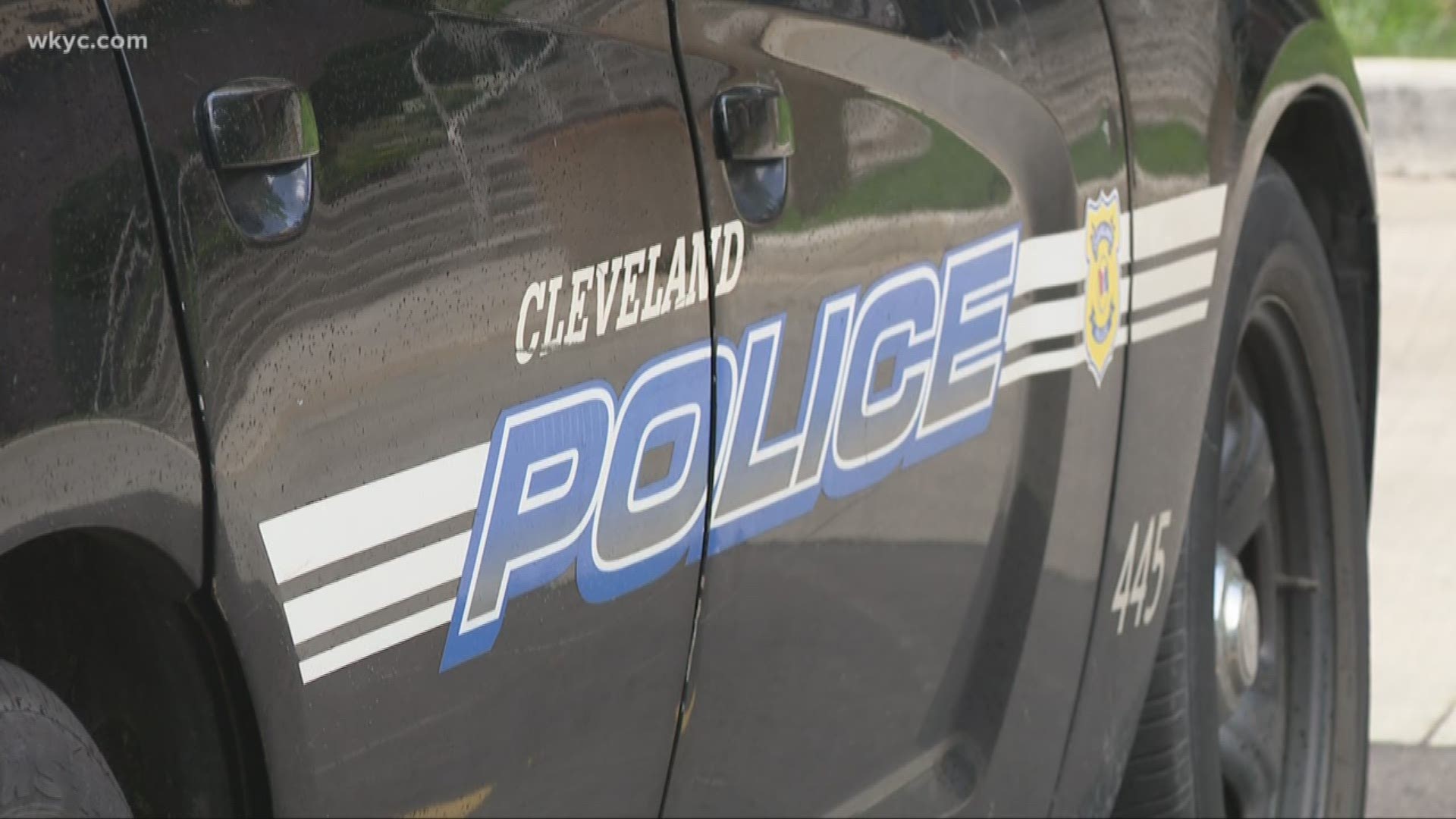 Cleveland police officers could be disciplined for giving fake badge number